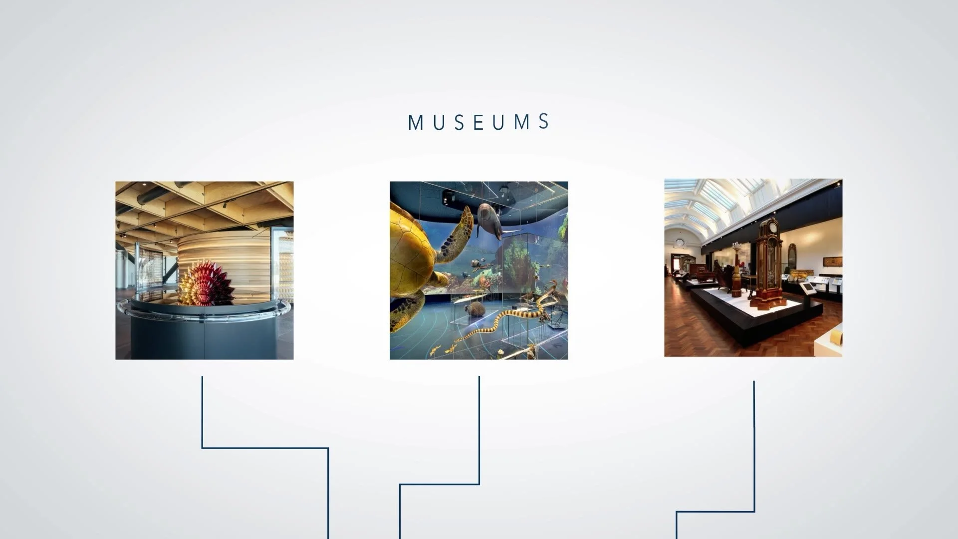 Museum interiors by BECK Interiors