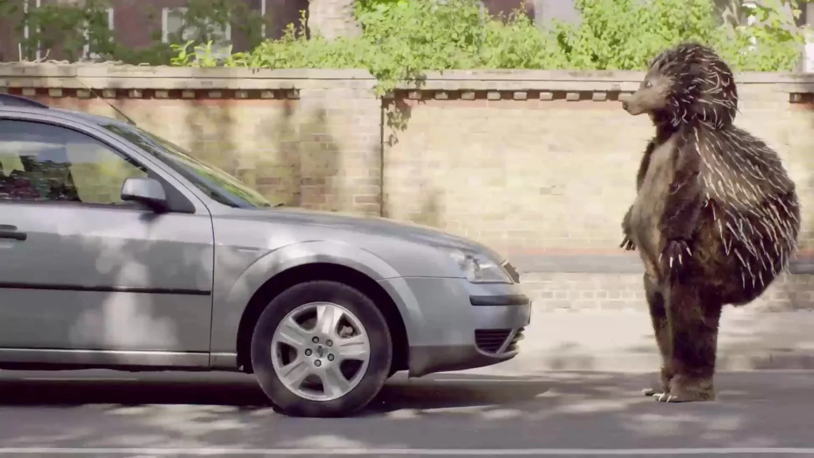 Giant hedgehog beside a parked car, from a Tempcover advert
