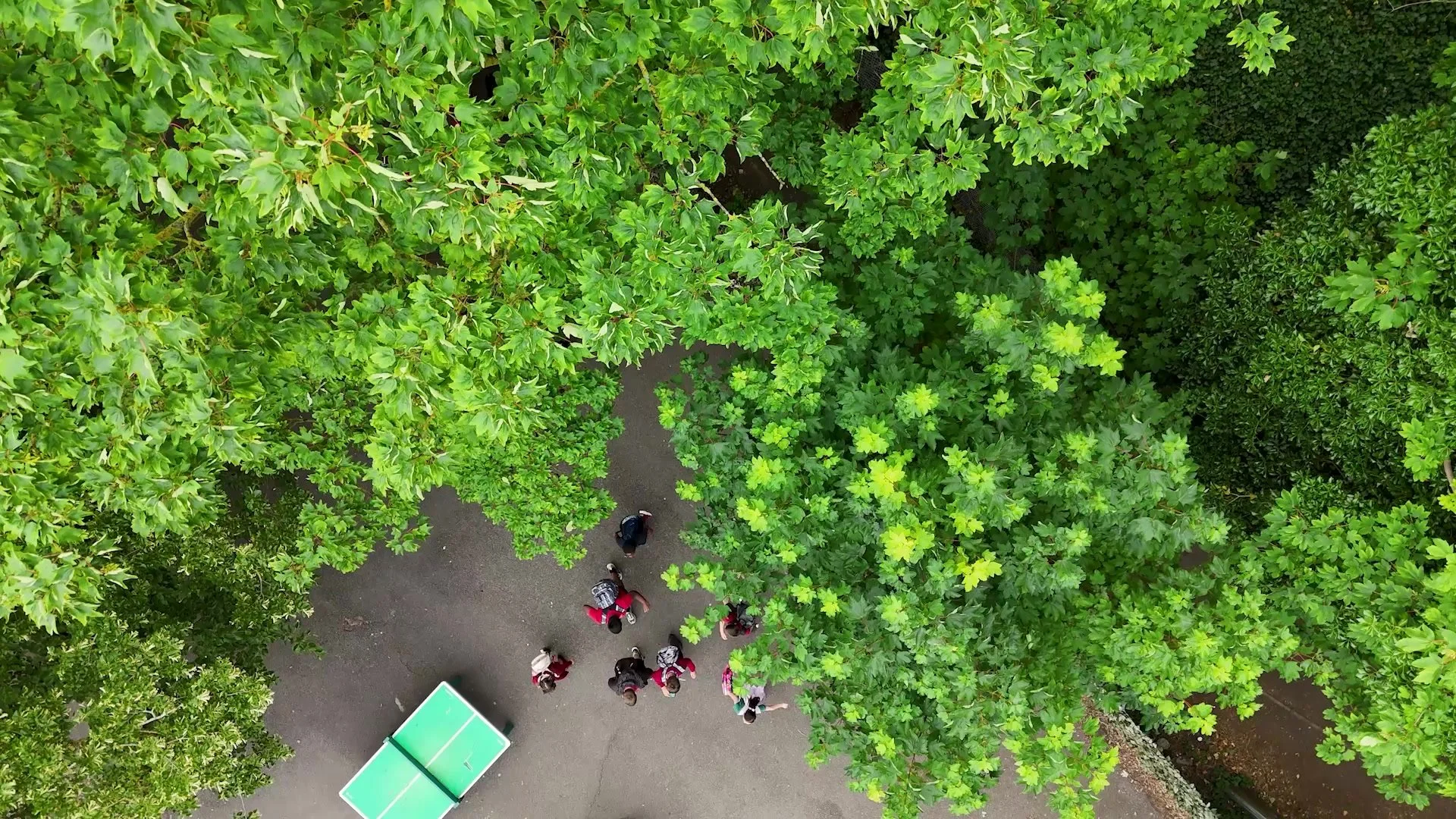 west-wimbledon-primary-school-video-school-grounds-from-above.jpg