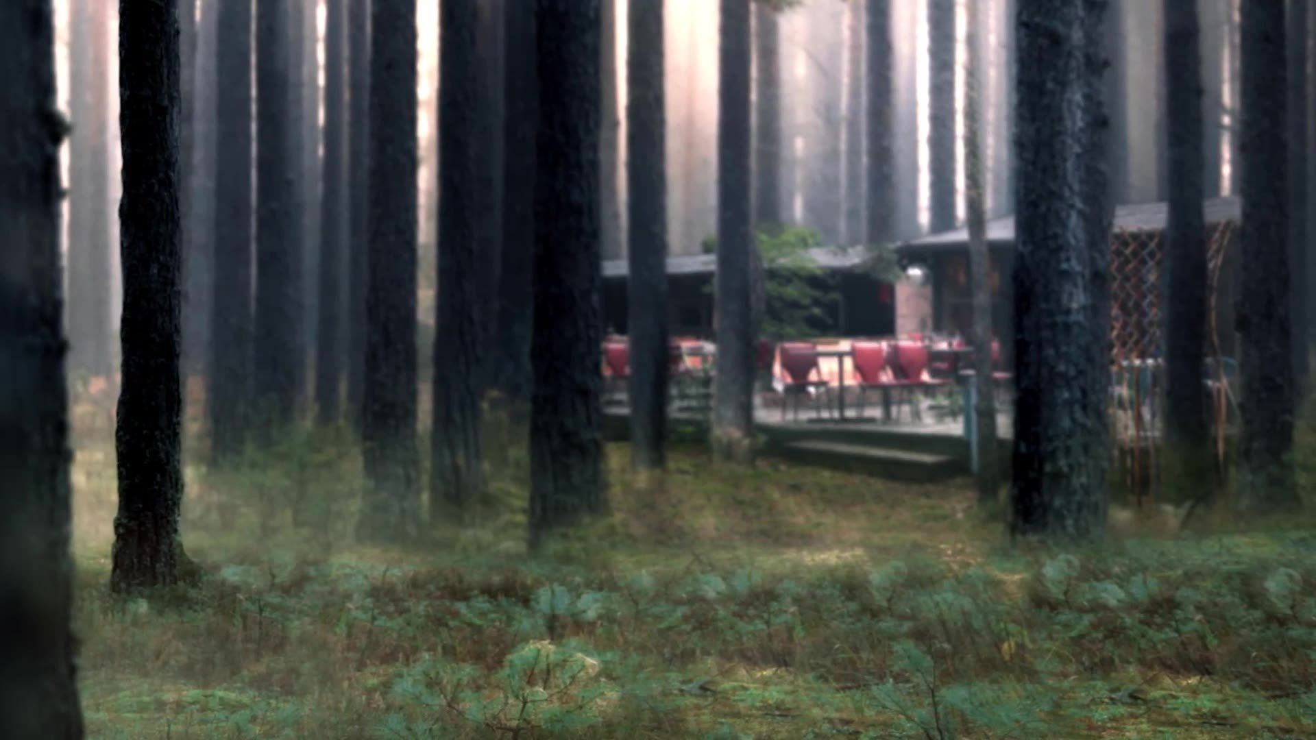 netflix-the-woods-pre-roll-forest-car.jpg
