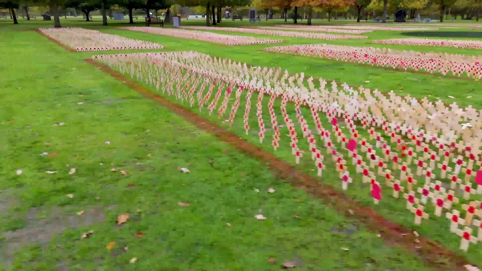 royal-british-legion-fields-of-remembrance-drone-video-field-of-crosses.jpg