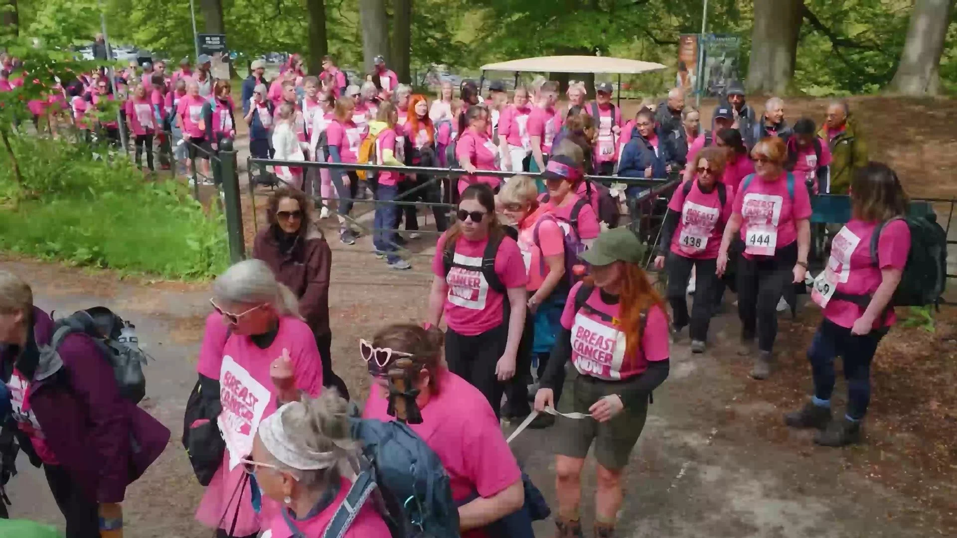 Crowds of walkers in pink on a woodland path