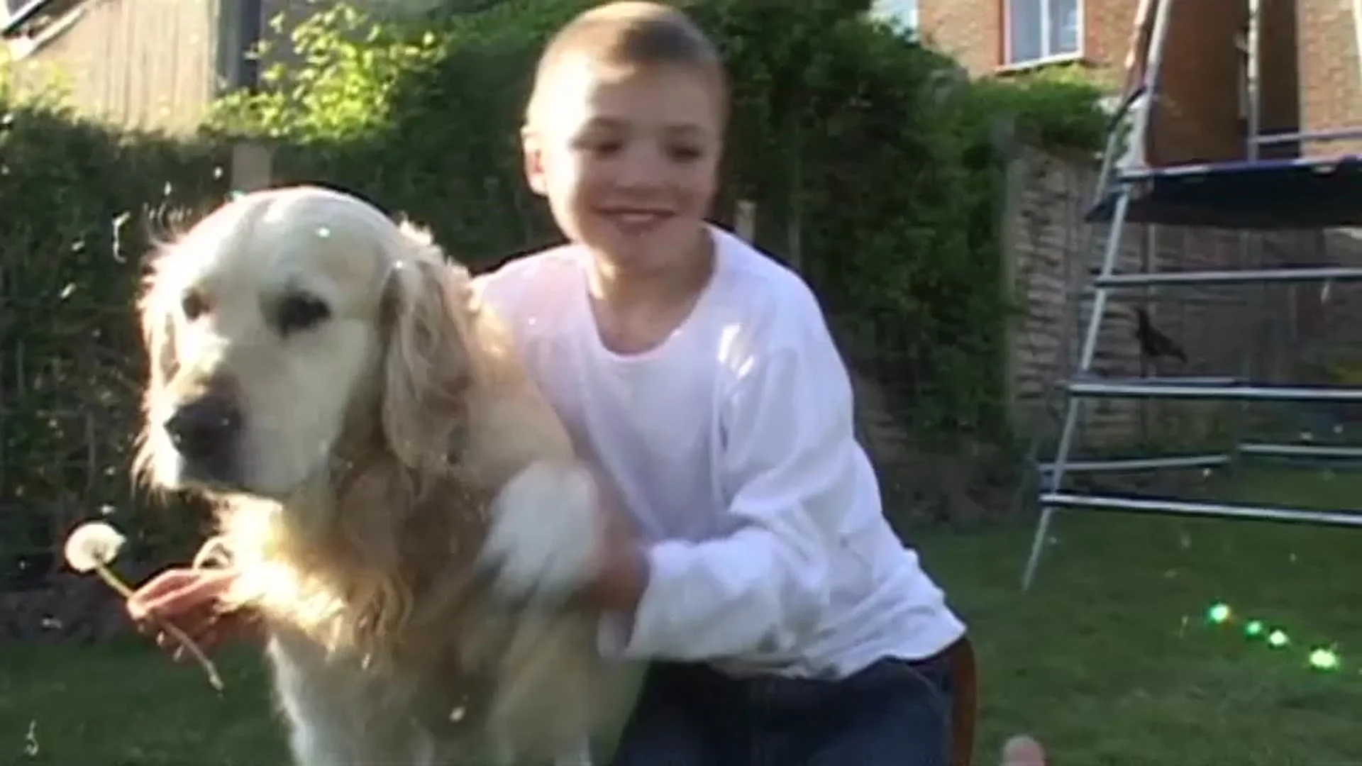 Time with the family dog in the garden