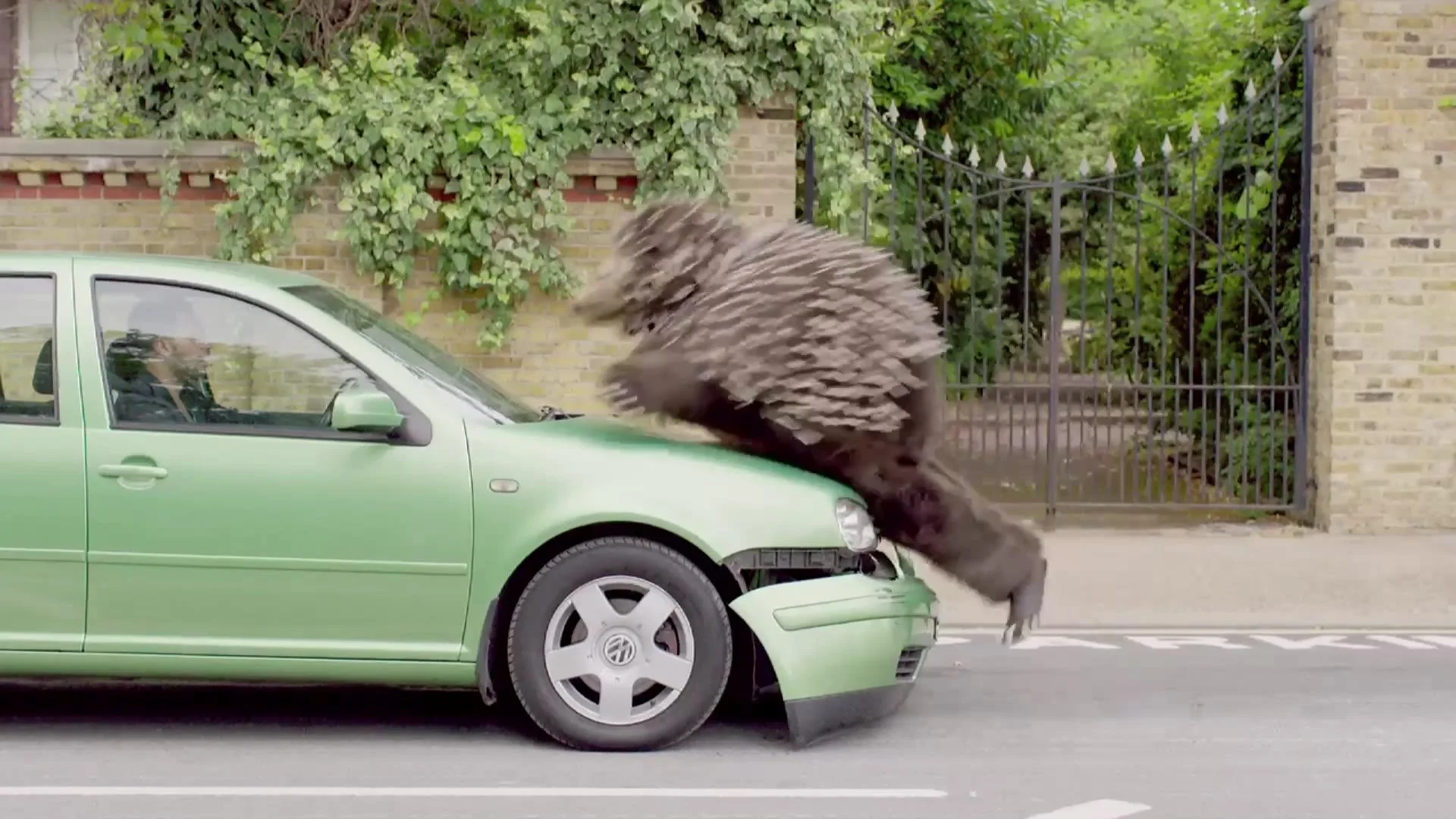 Giant hedgehog landing on the bonnet of a green car