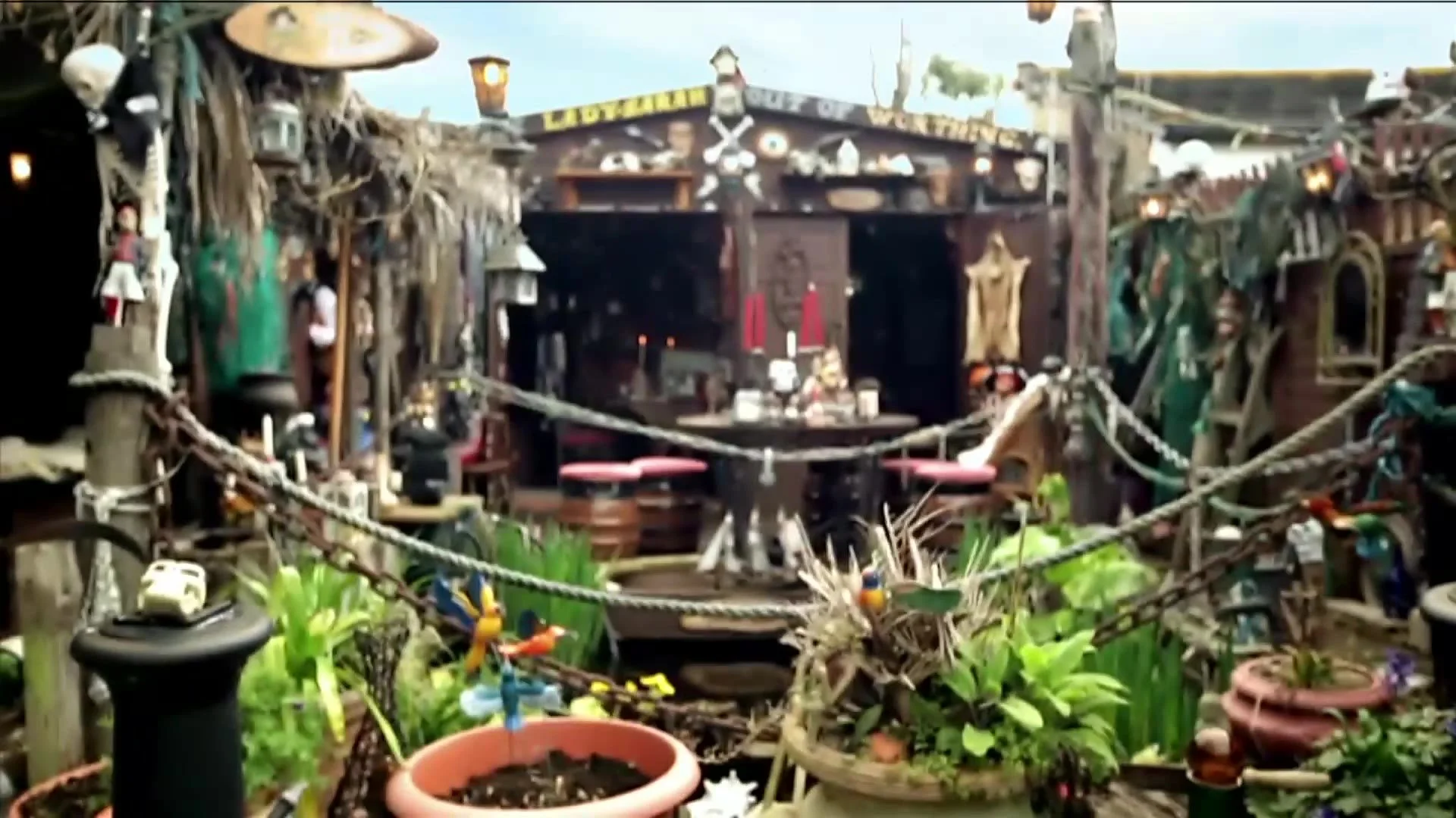 The pirate-themed parrot shed in Essex