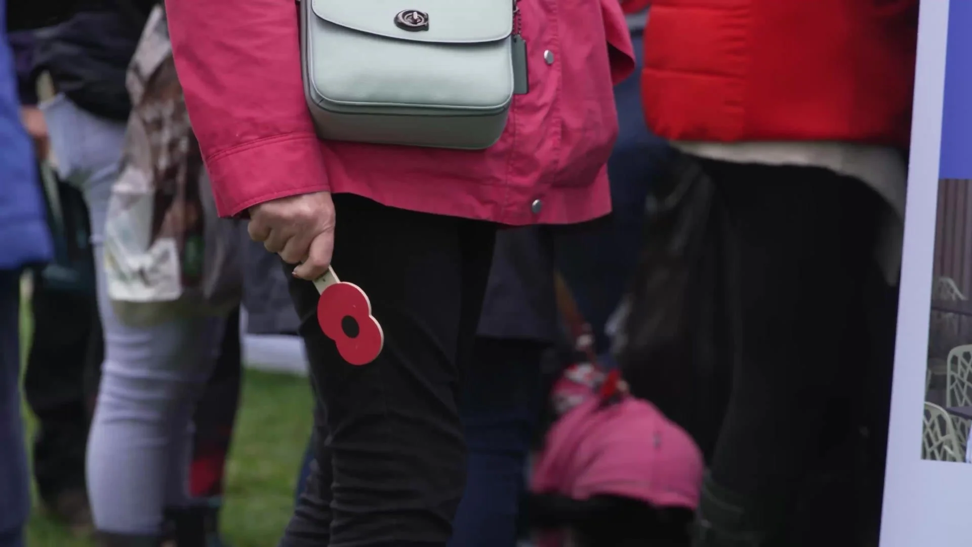 A walker carrying a poppy