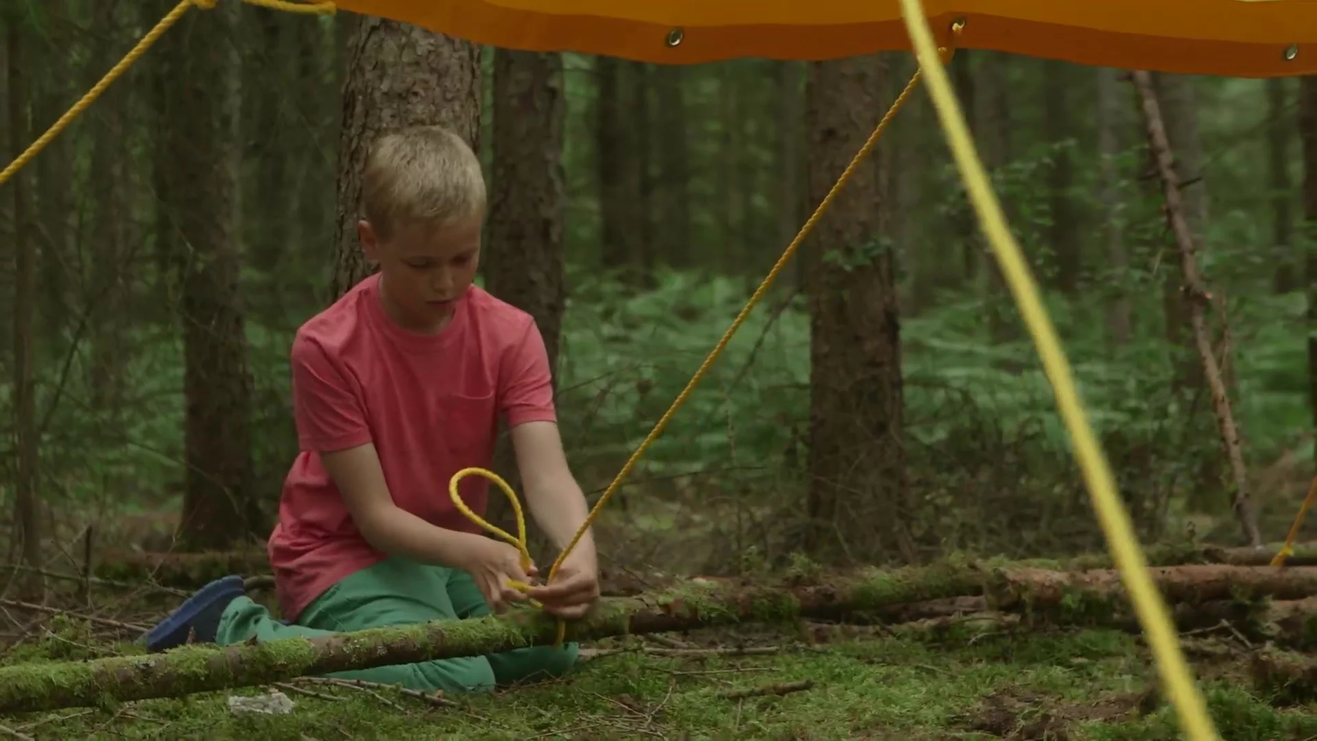 Building a tarpaulin shelter