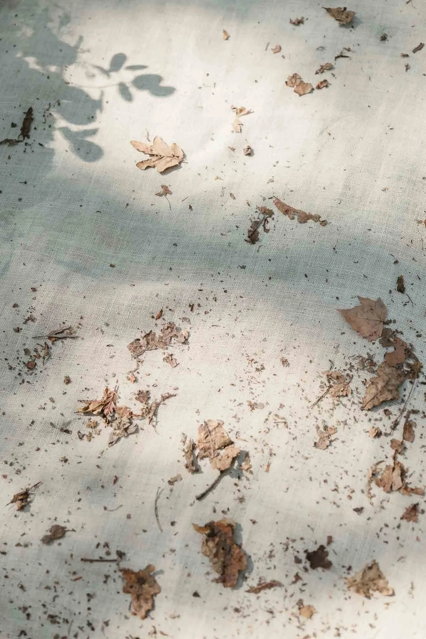 Dry leaves and small debris on fabric, with soft shadows—captured artfully by a Portugal wedding photographer.