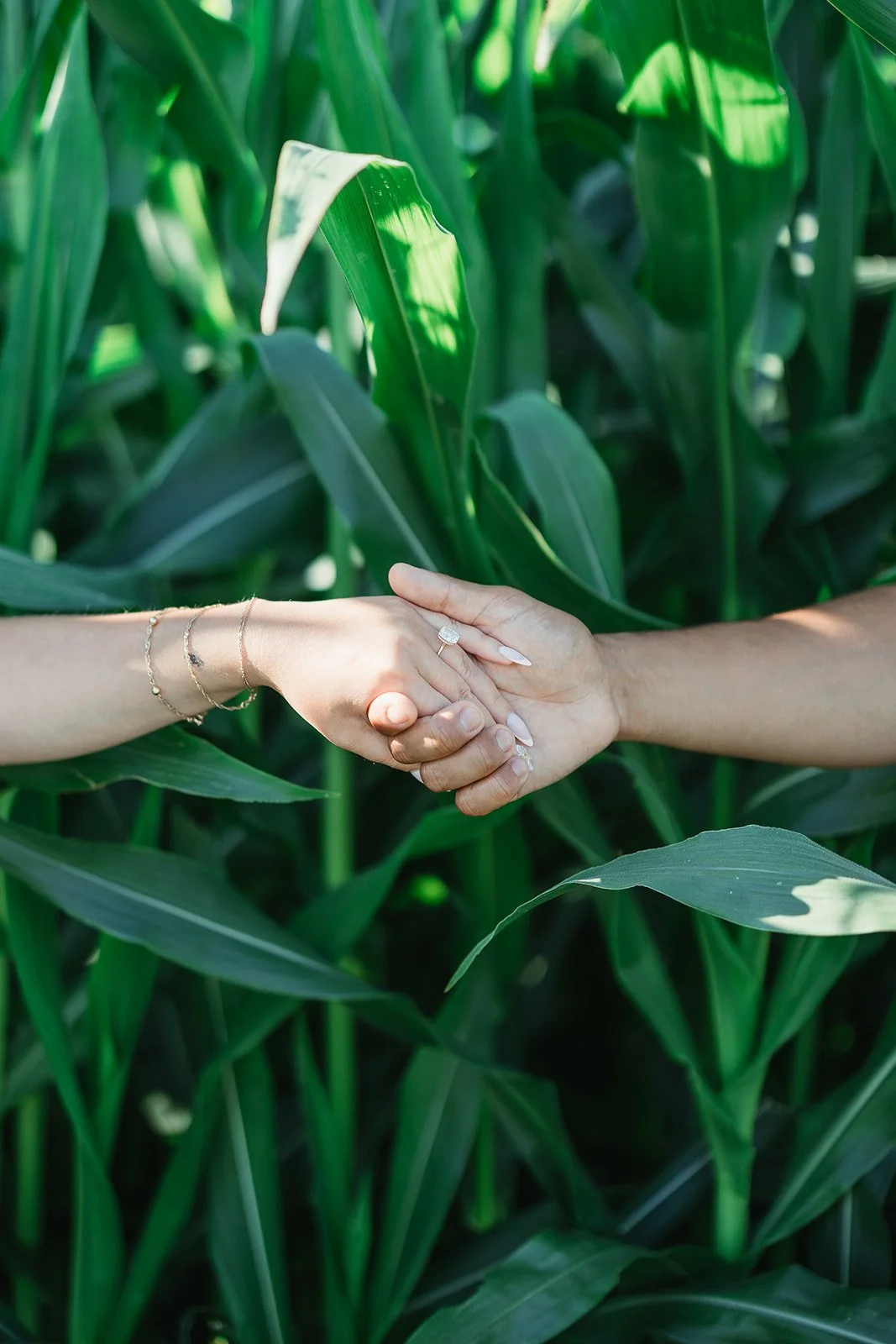 Two people holding hands gently among tall green leaves, captured by a Portugal Wedding Photographer.
