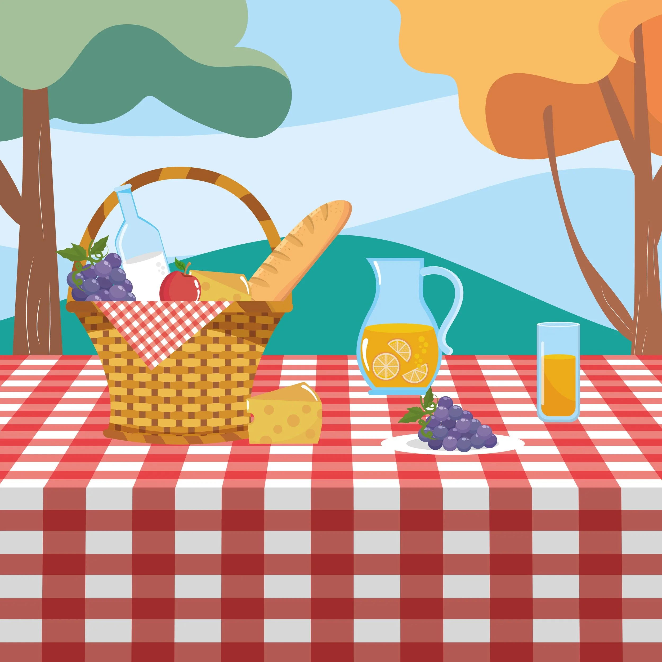 Annual CHVAGO picnic