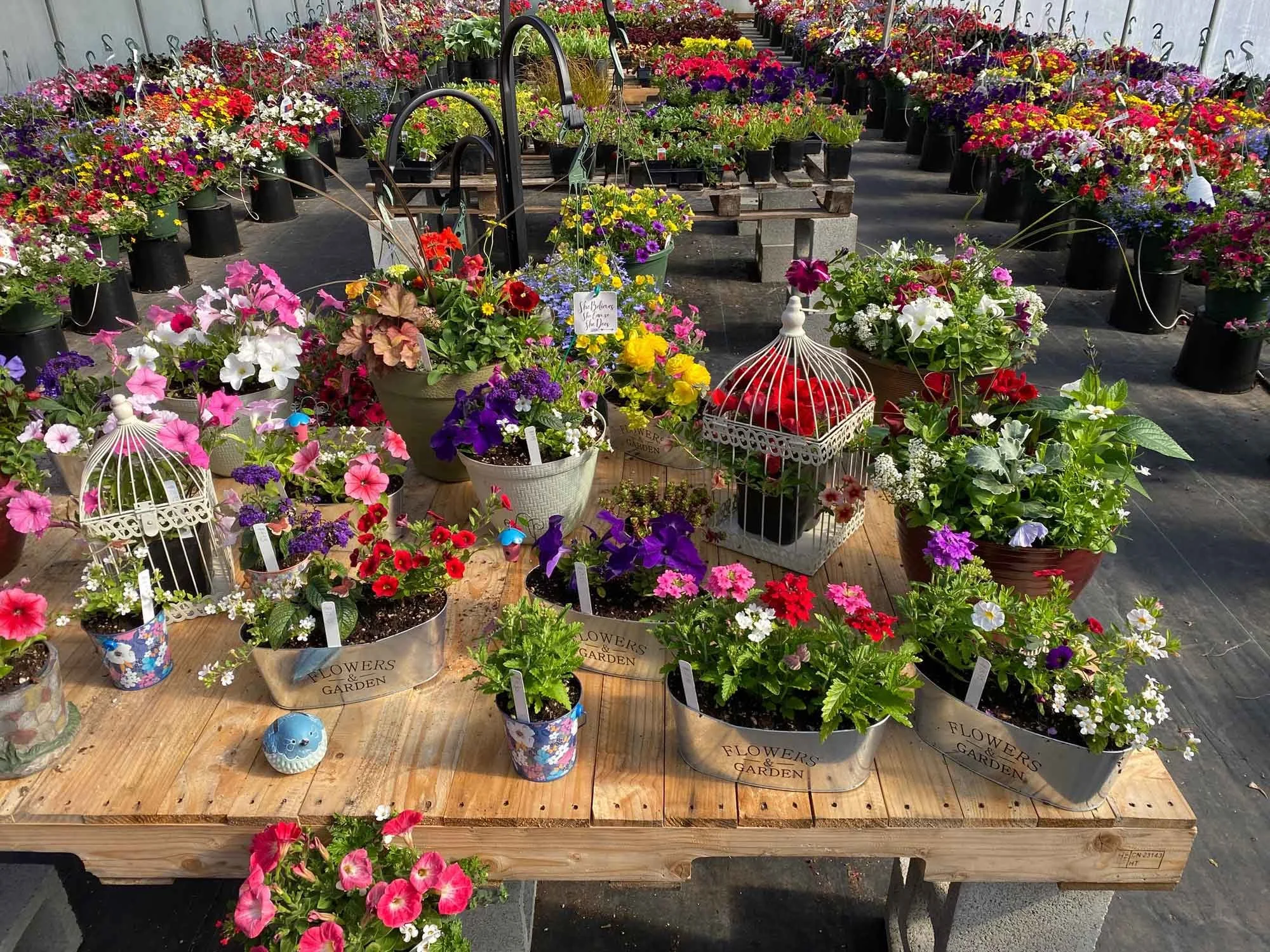 Spring Plant Sale