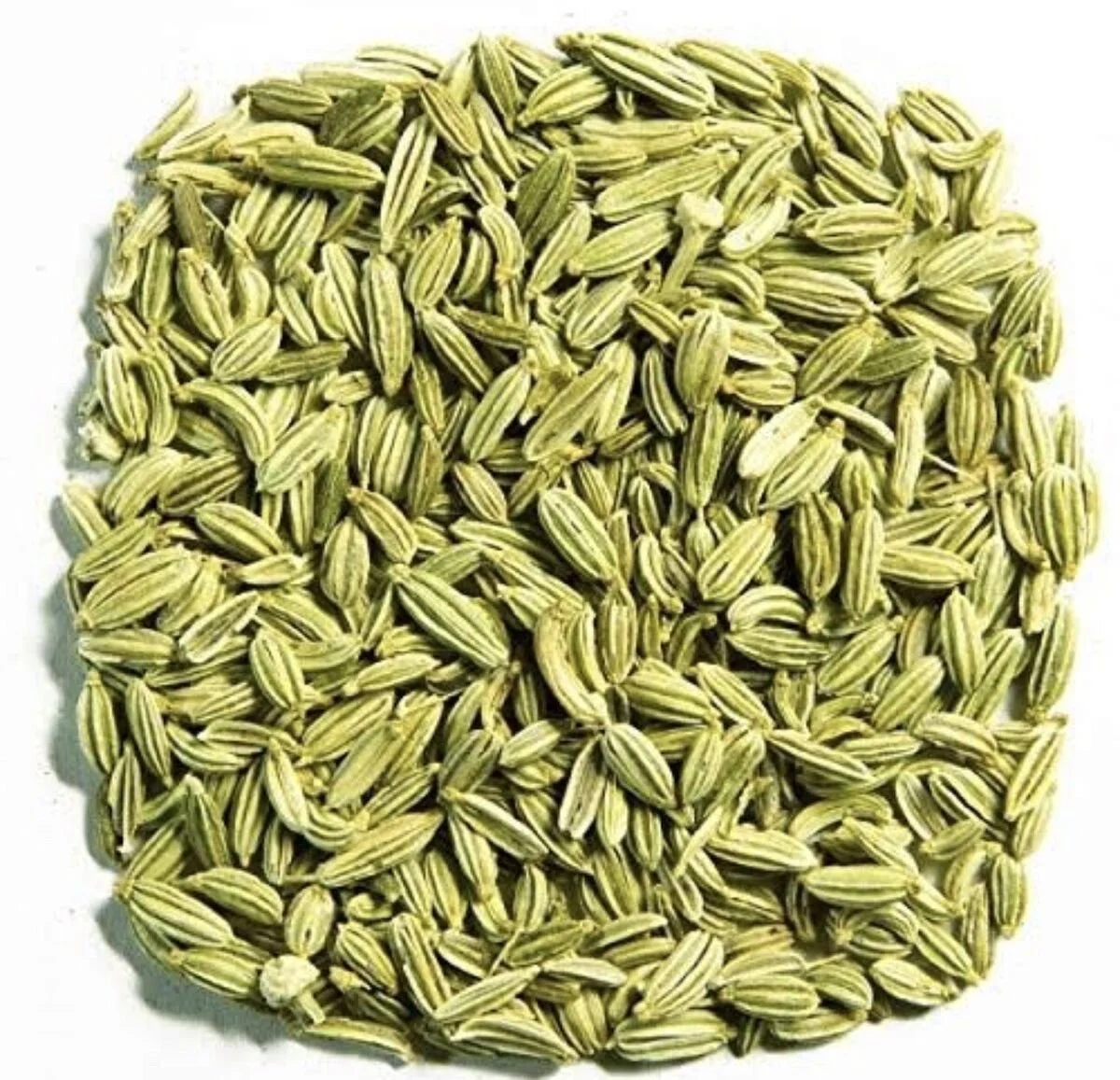 Organic fennel seed 50g