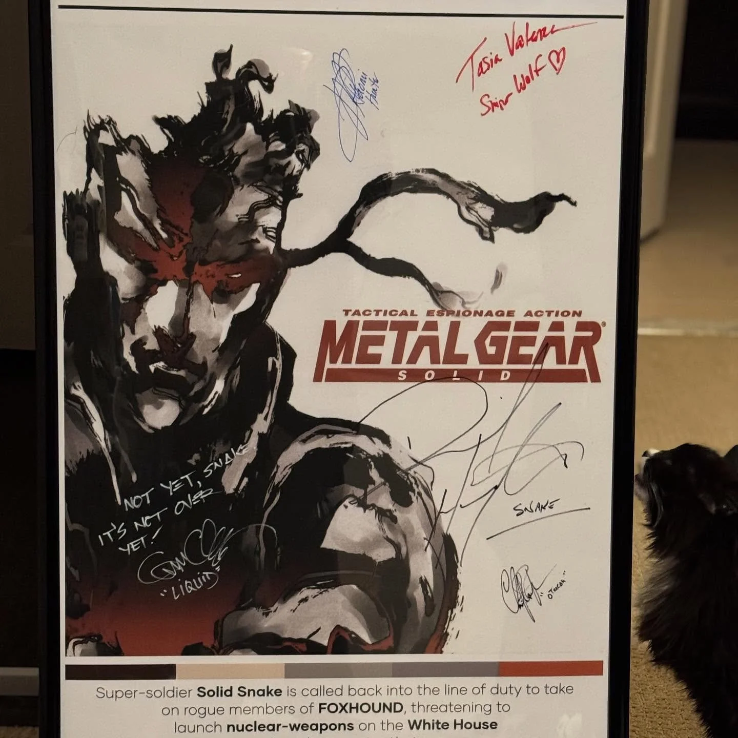 Something for my gaming friends, met the voice cast of metal gear solid&hellip;. I remember renting this game twice from blockbuster so I could beat it, then purchasing it so I can get the different endings.  This was the first game that I remember p