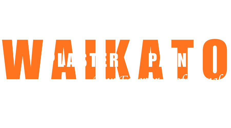 Waikato Plaster &amp; Paint
