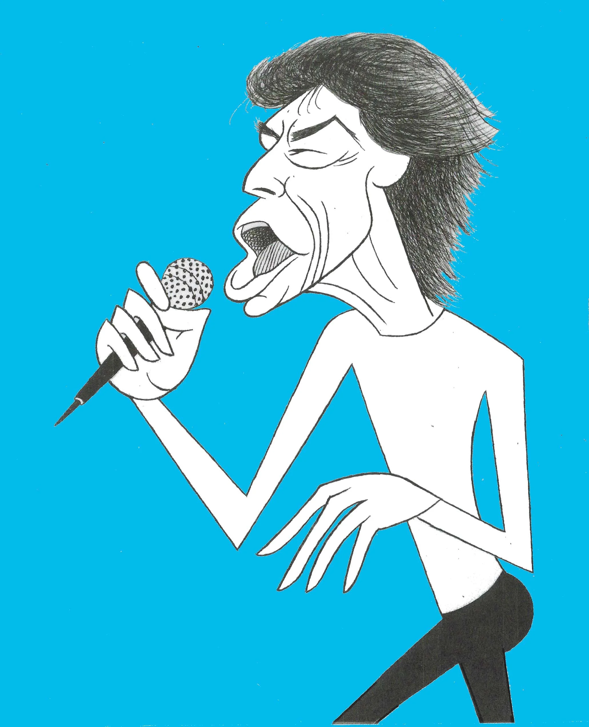 Mick Jagger web BLUE.jpg