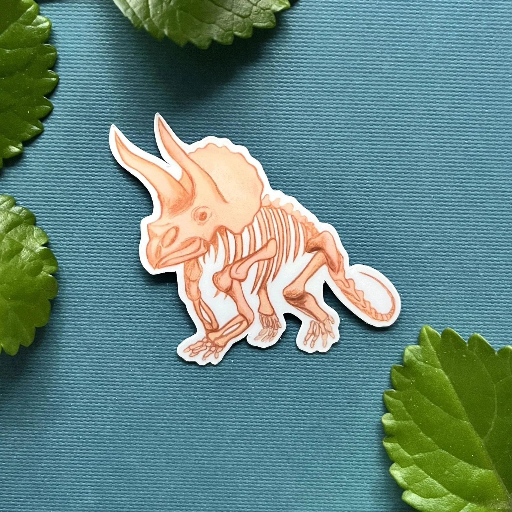Triceratops Fossil Sticker