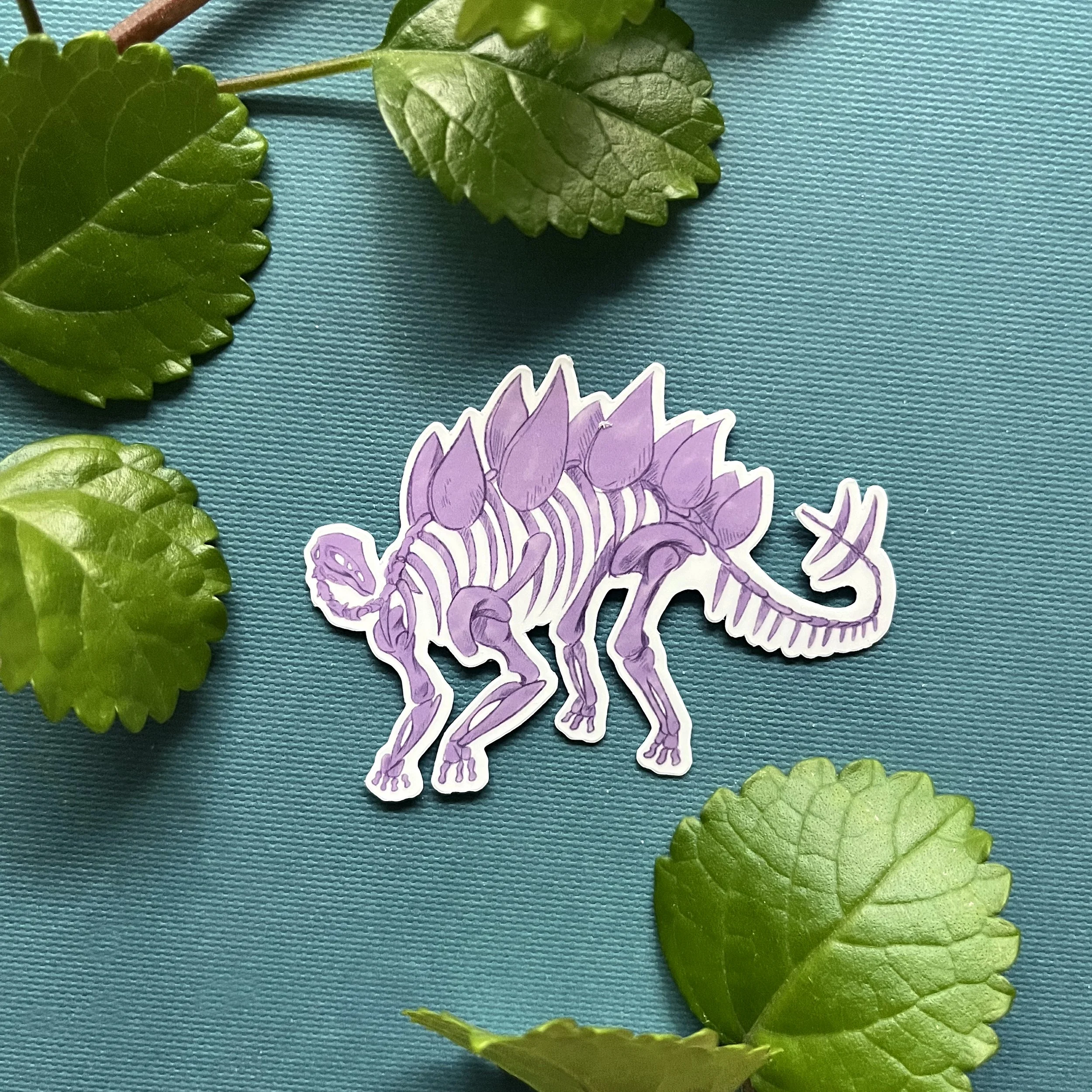 Stegosaurus Fossil Sticker