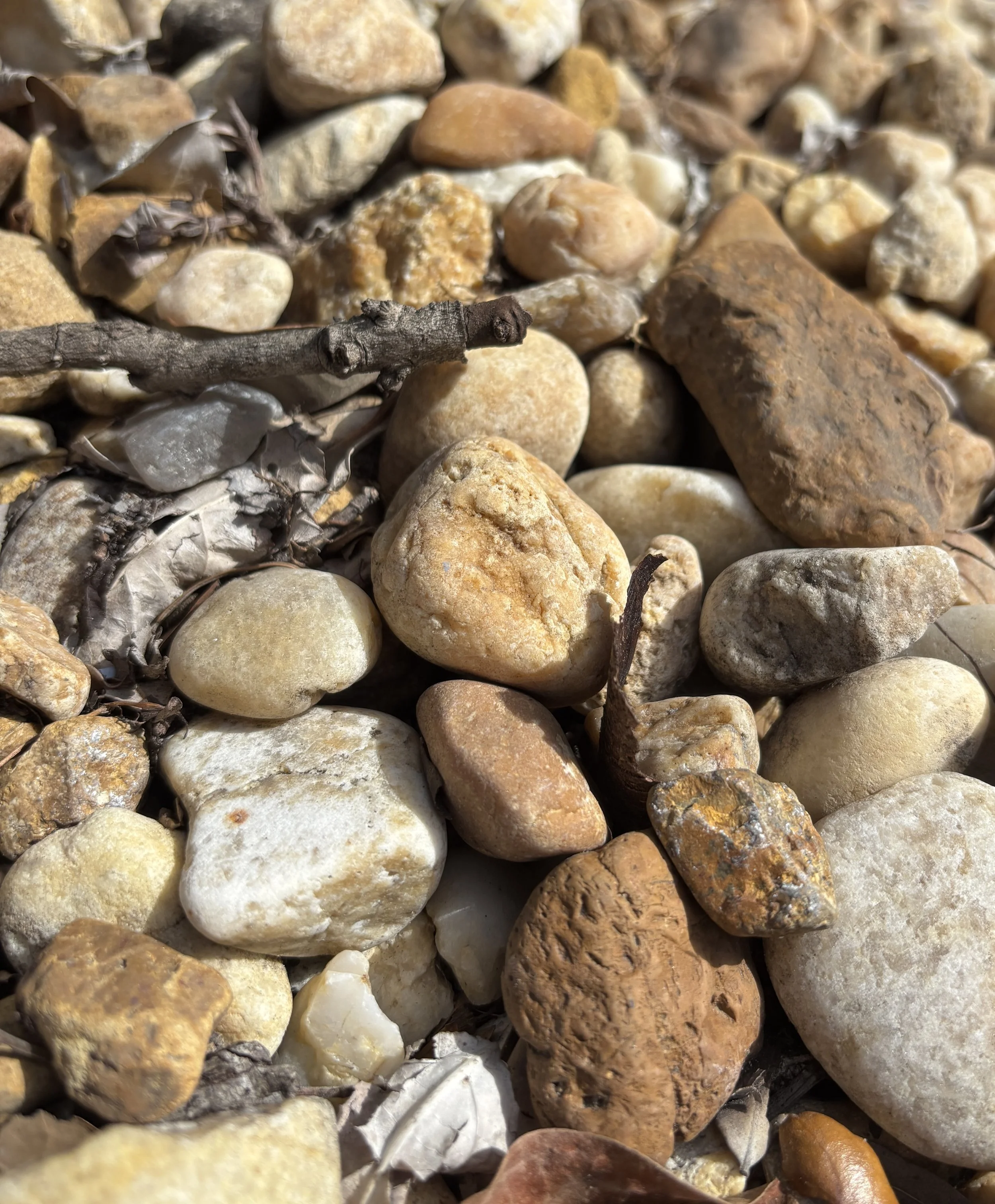 Getting Back to Basics