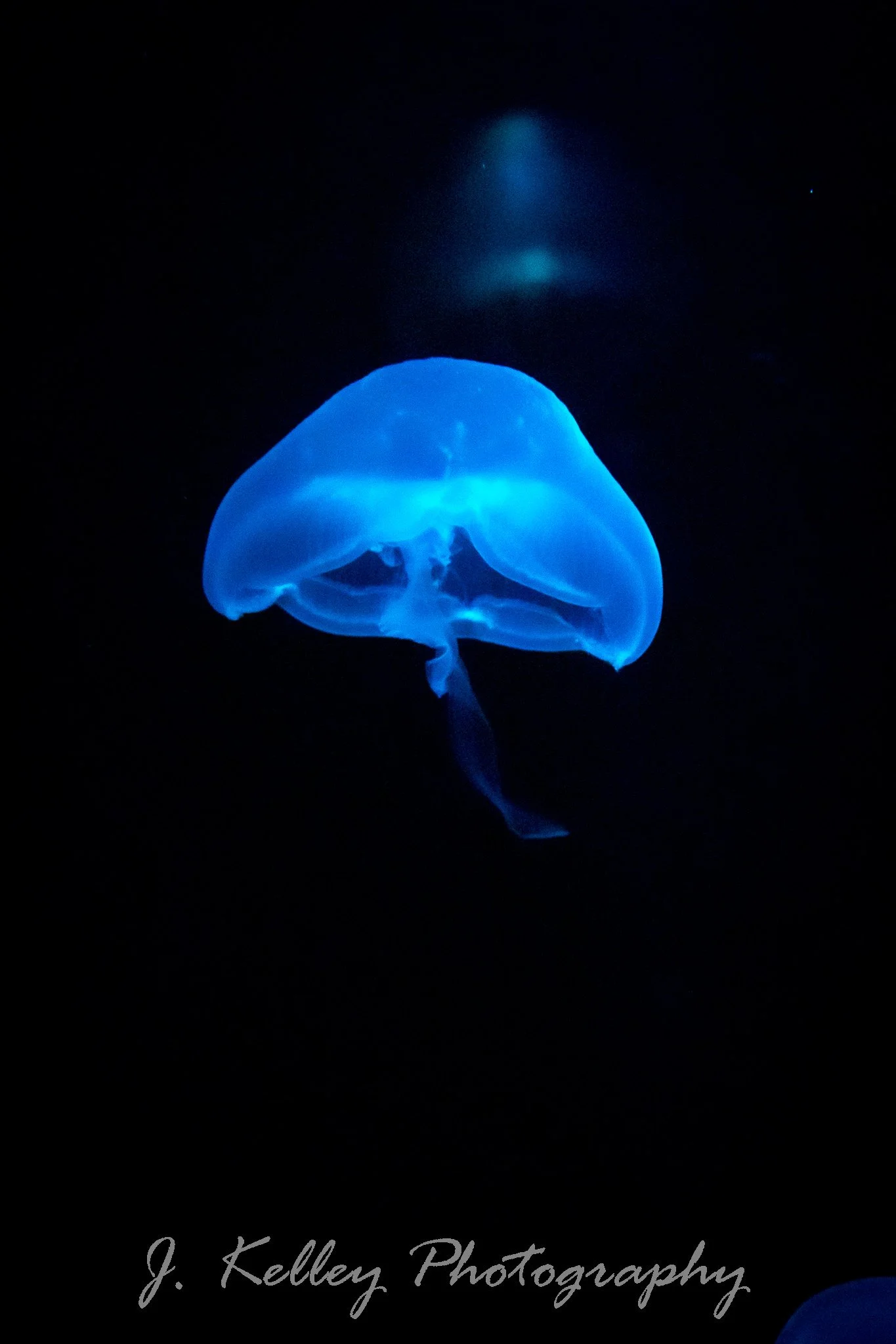 Untitled-4.jpg