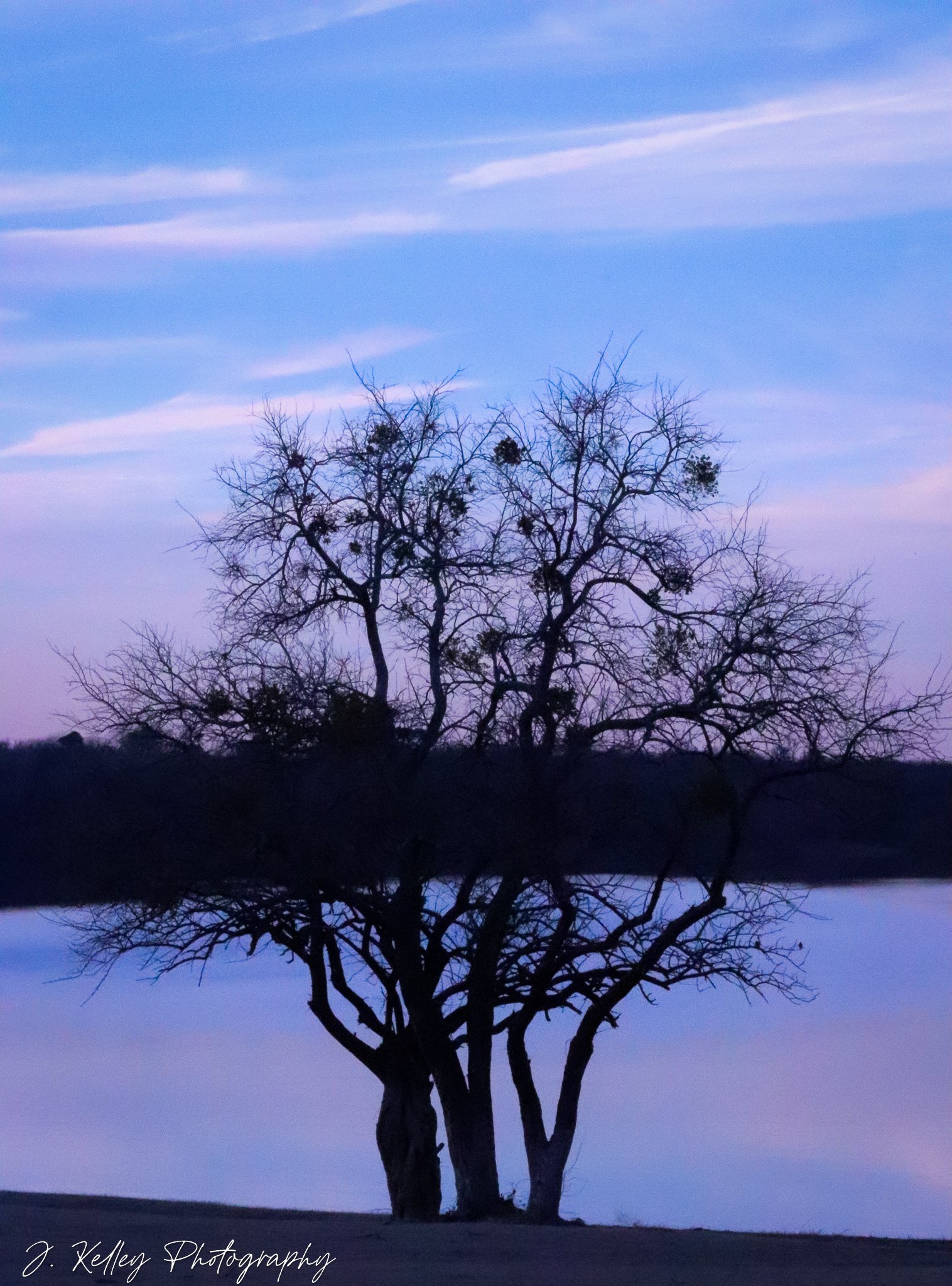 Untitled-175.jpg