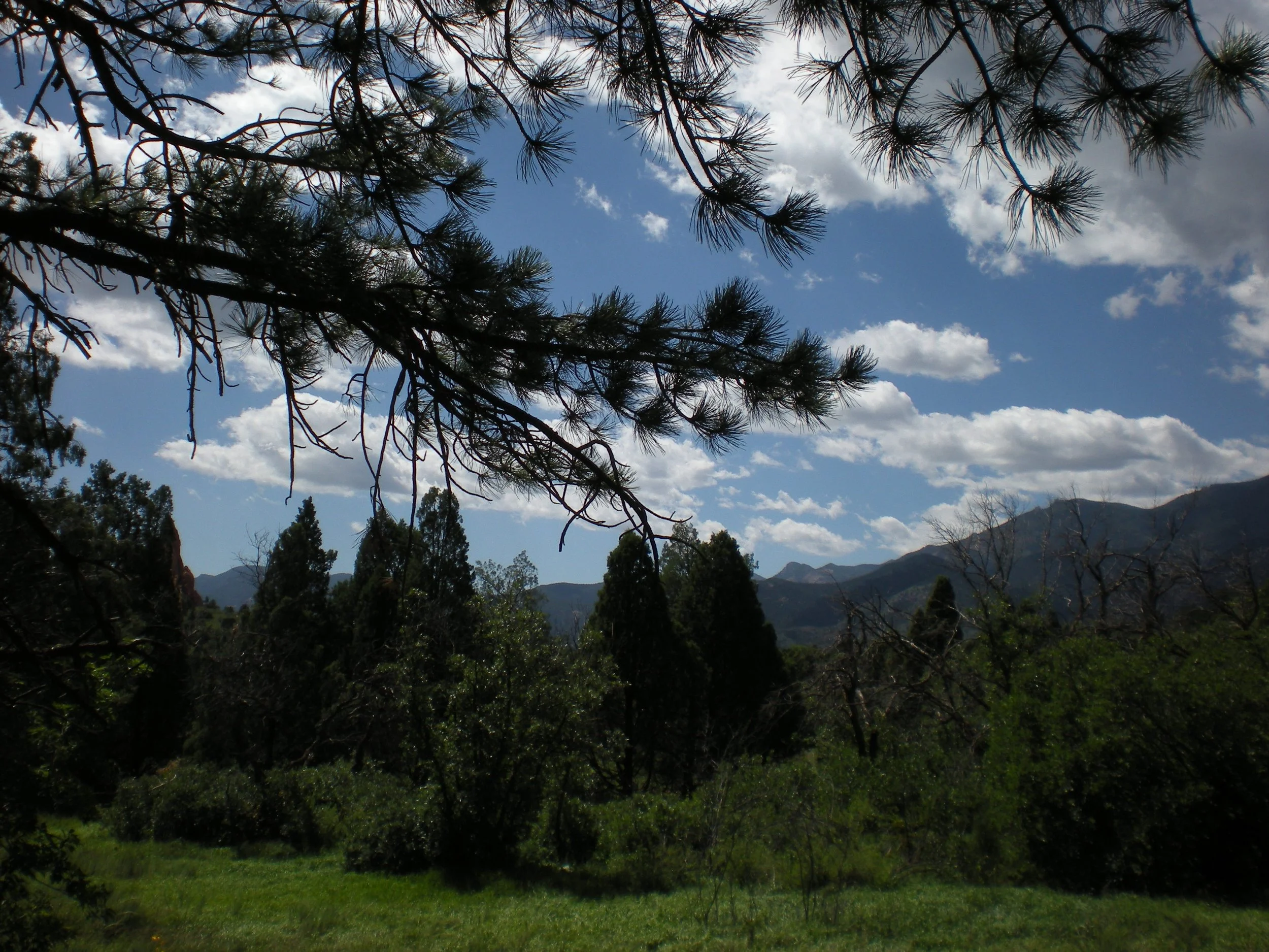 DSCN2873.JPG