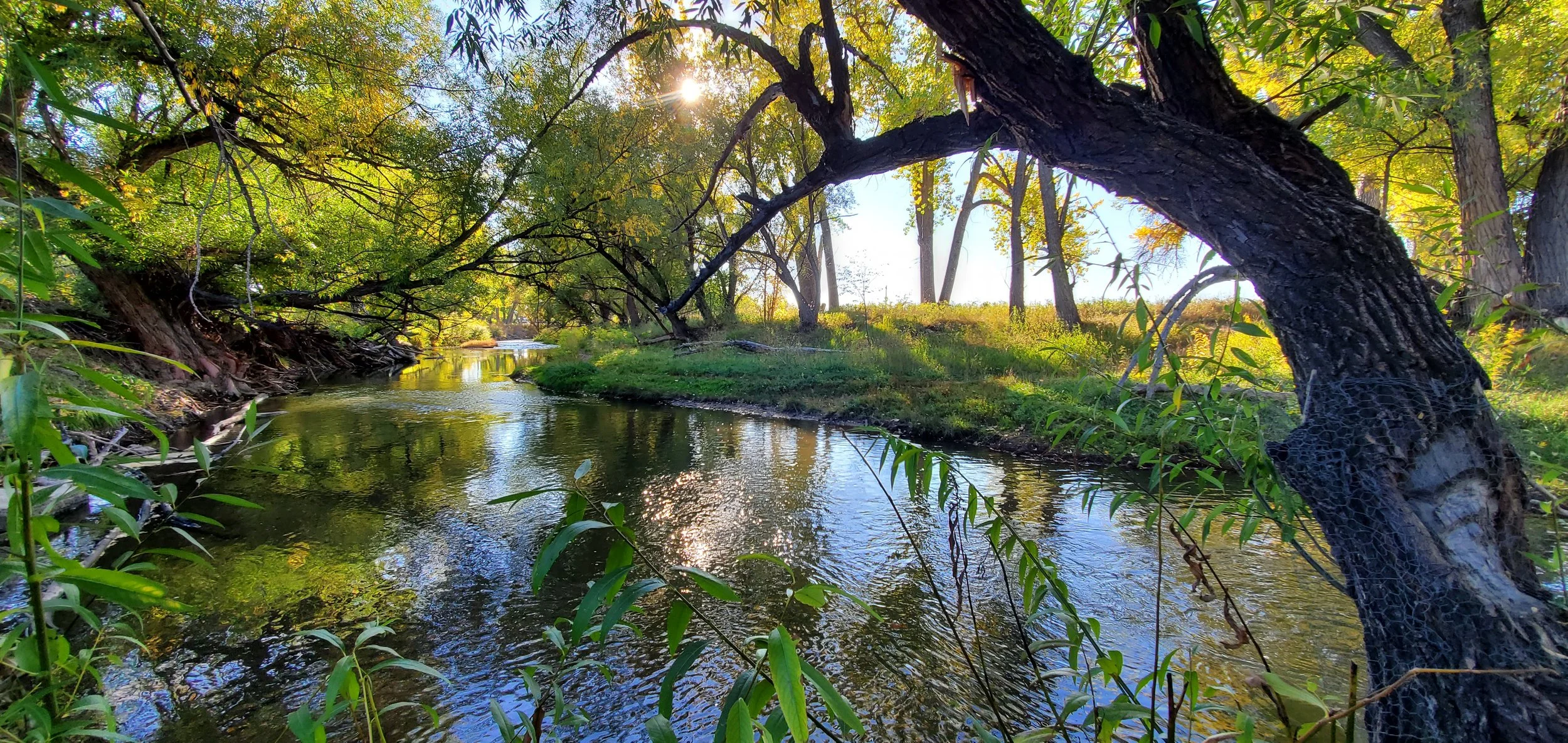 20221011_090137.jpg