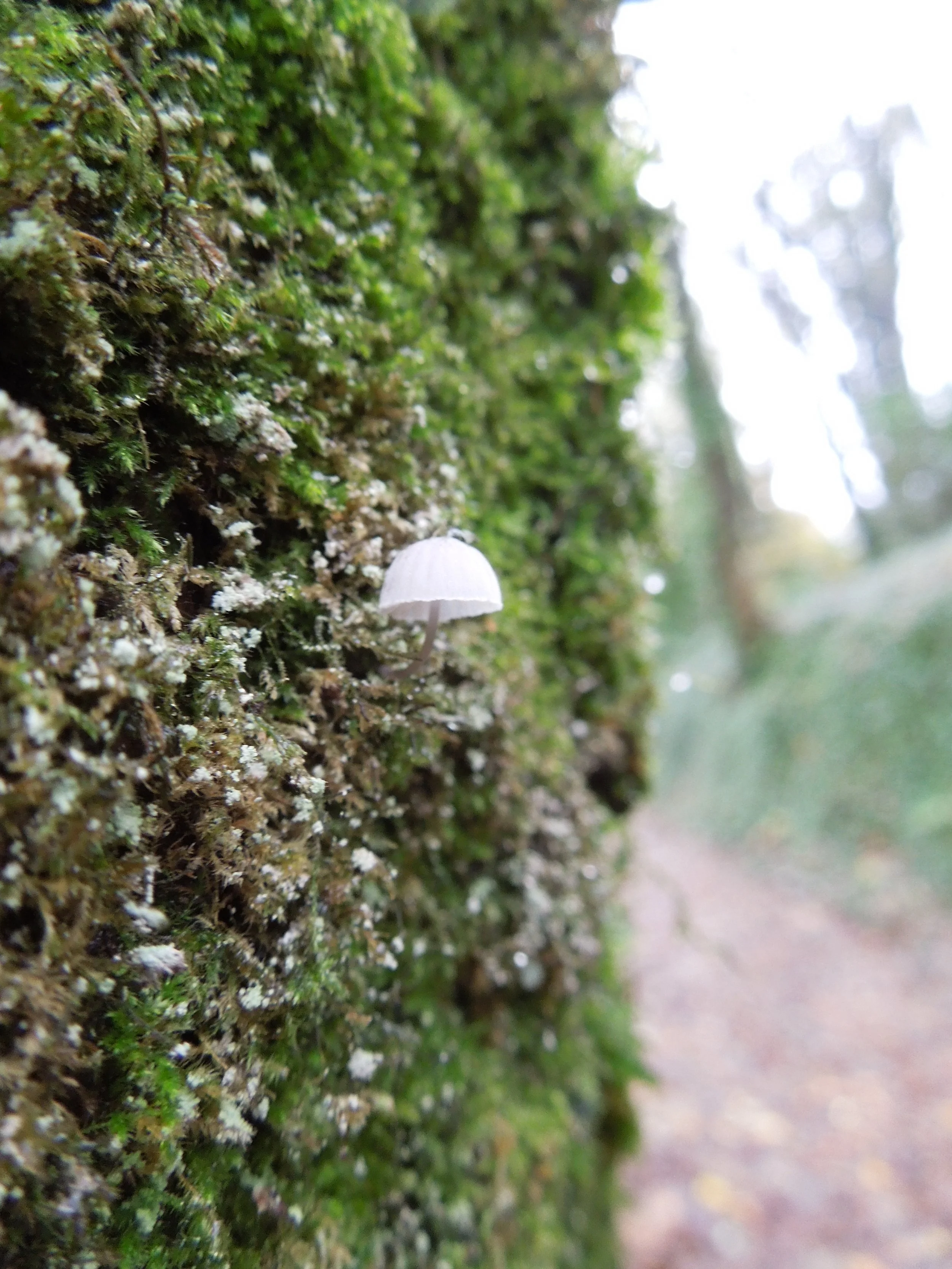 DSCN3473.JPG
