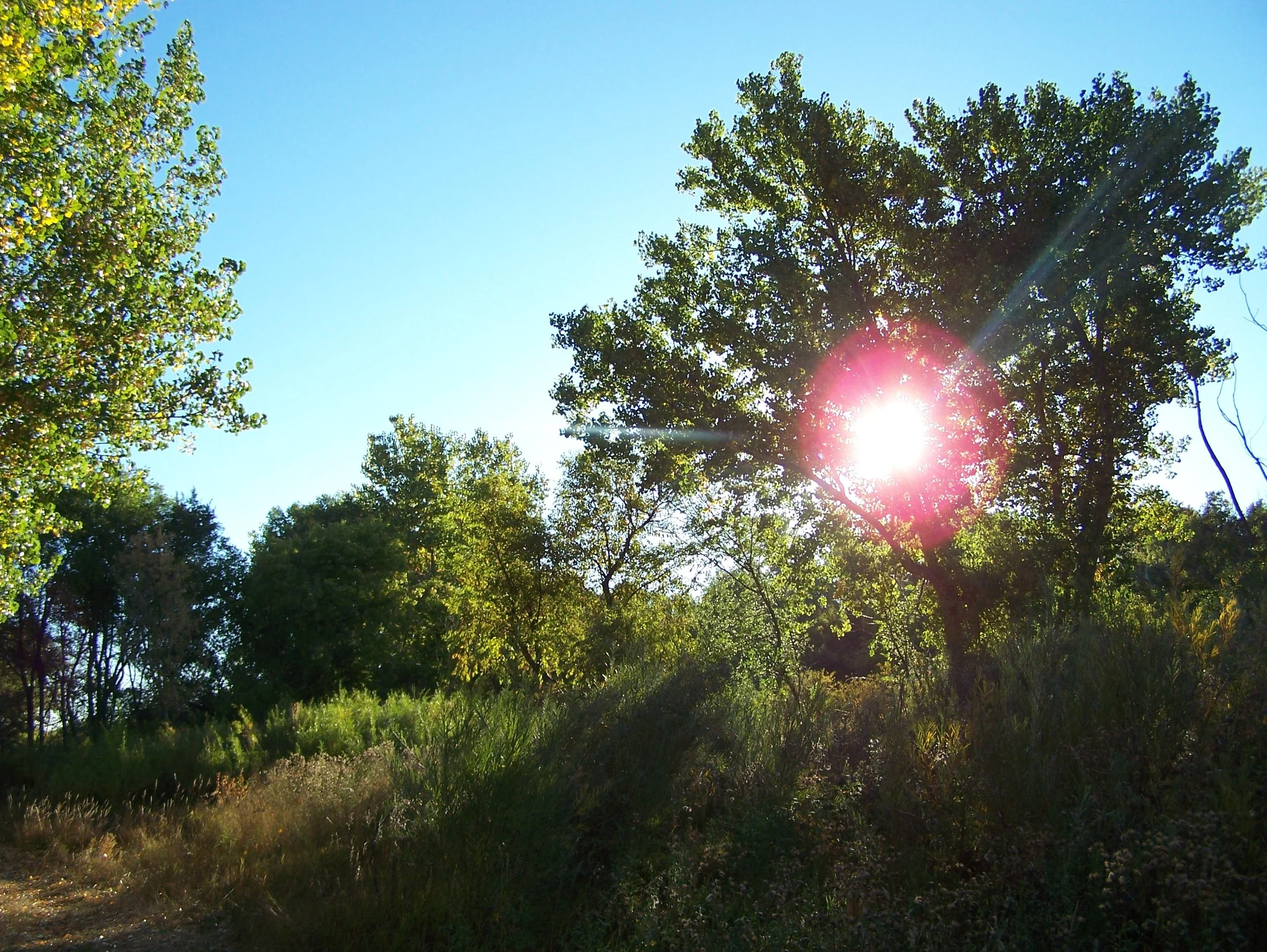 100_6073.JPG