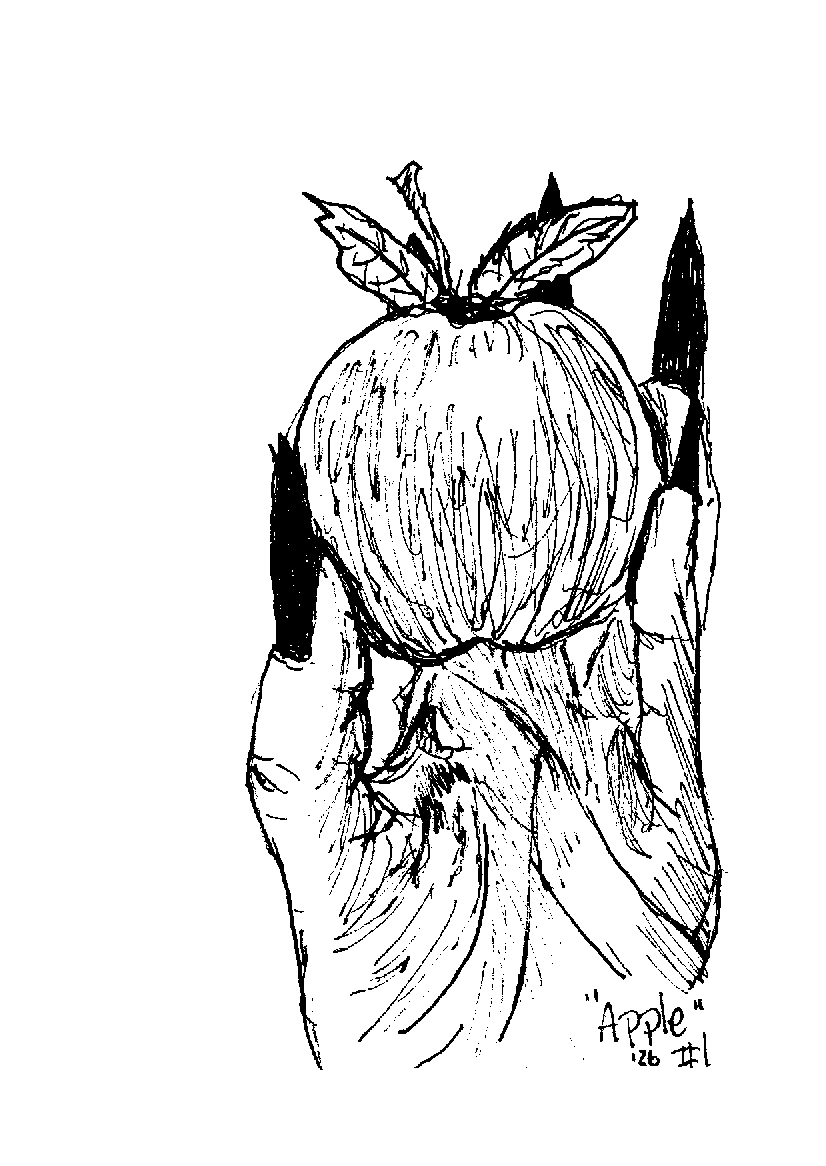 1 Apple.png