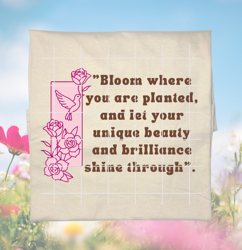 Website Images (10).png