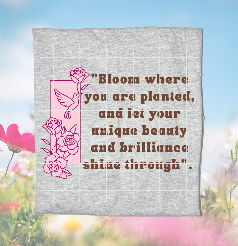 Website Images (12).png