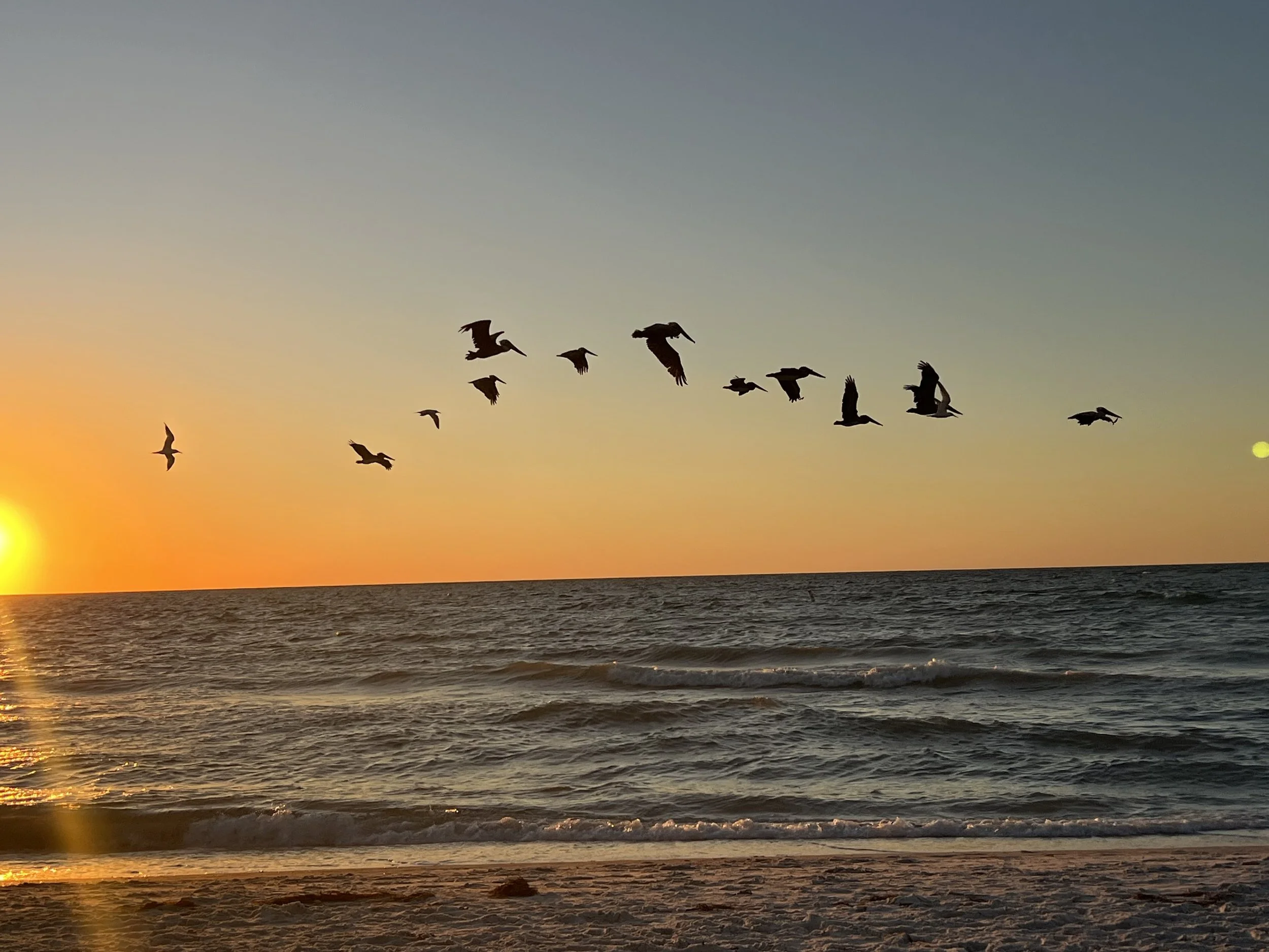 Things to Do Near Indian Rocks Beach: Top Attractions on Florida’s Gulf Coast