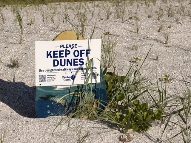 What’s the Deal with All the “Keep Off the Dunes” Signs?