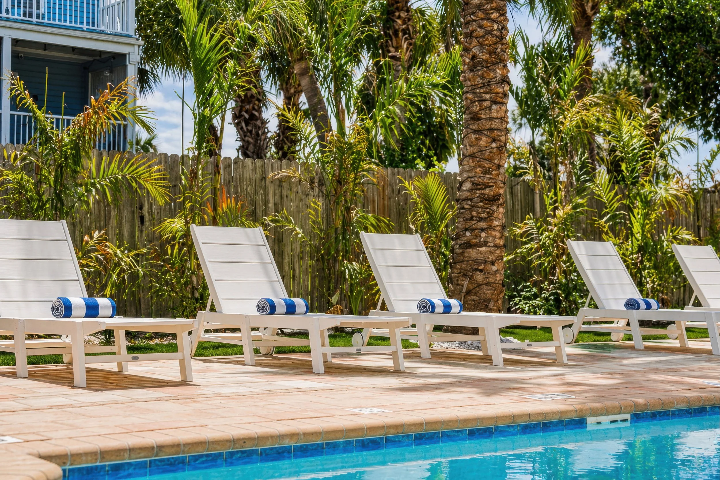 Pool lougers with palm trees and towles.