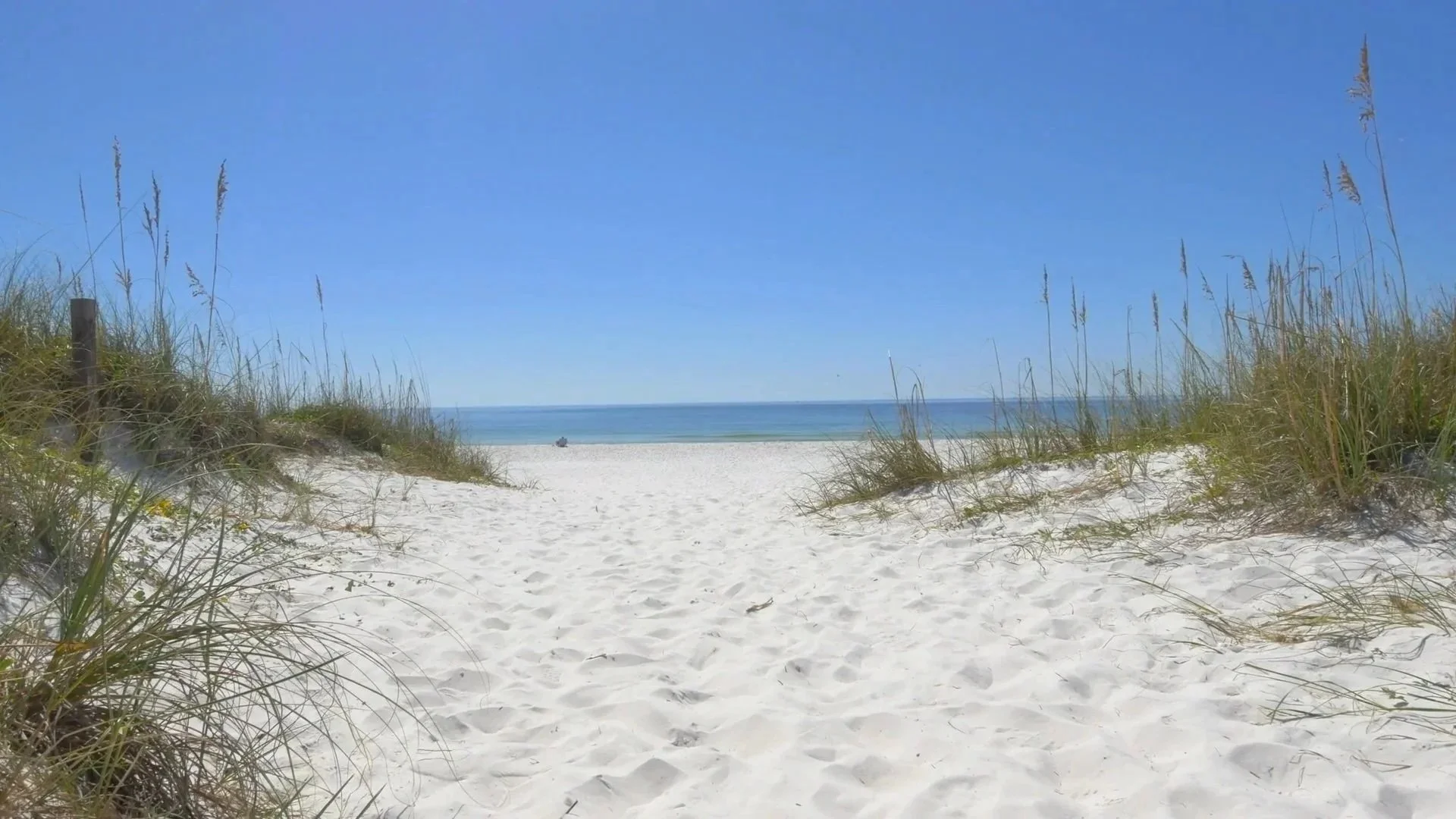 Insiders Guide Indian Rocks Beach.jpg