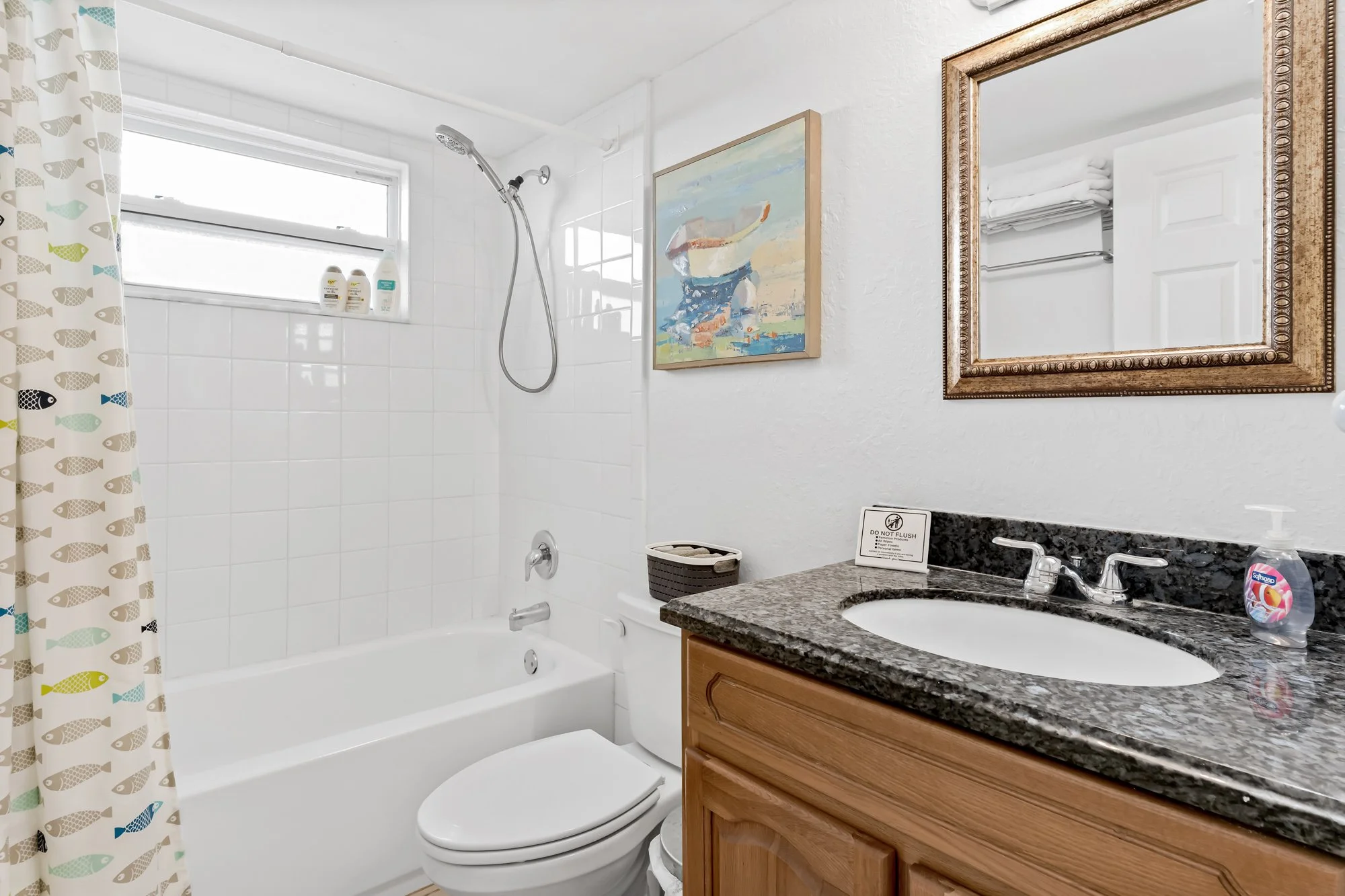 Hall bathroom lower level.
