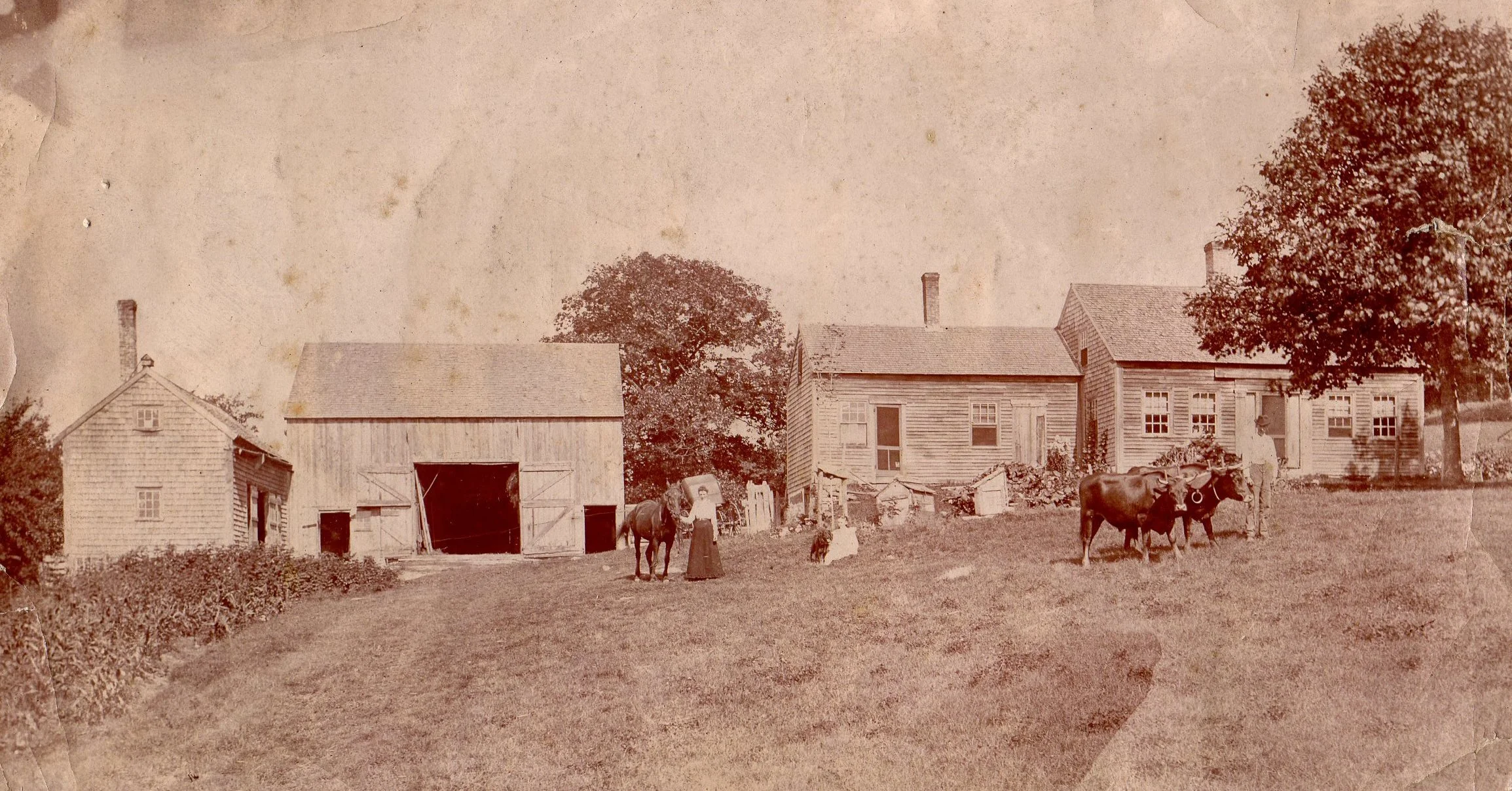 Everett and Amanda Whitney Place, c. 1910