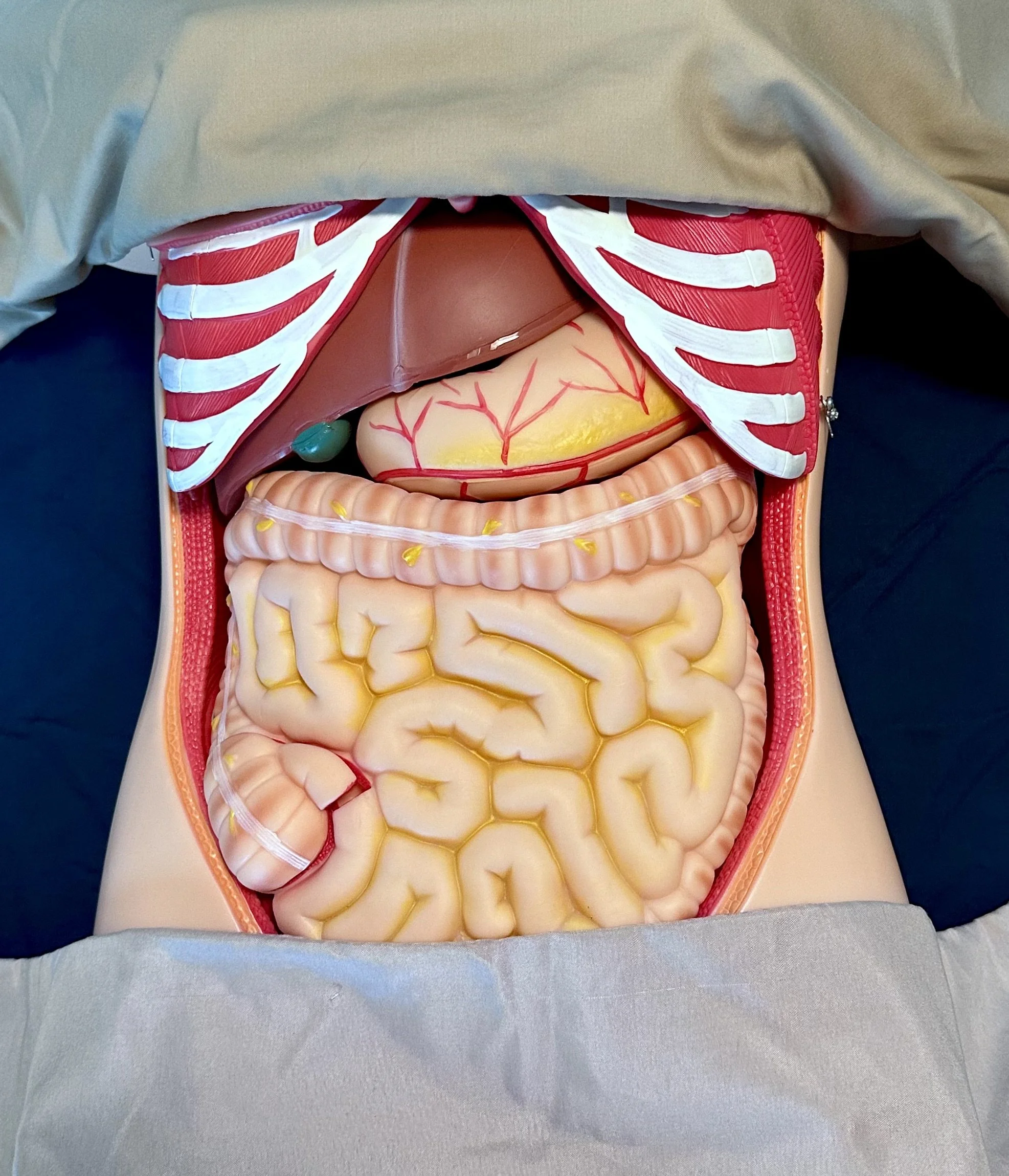 Abdominal Massage: The Visceral Approach 