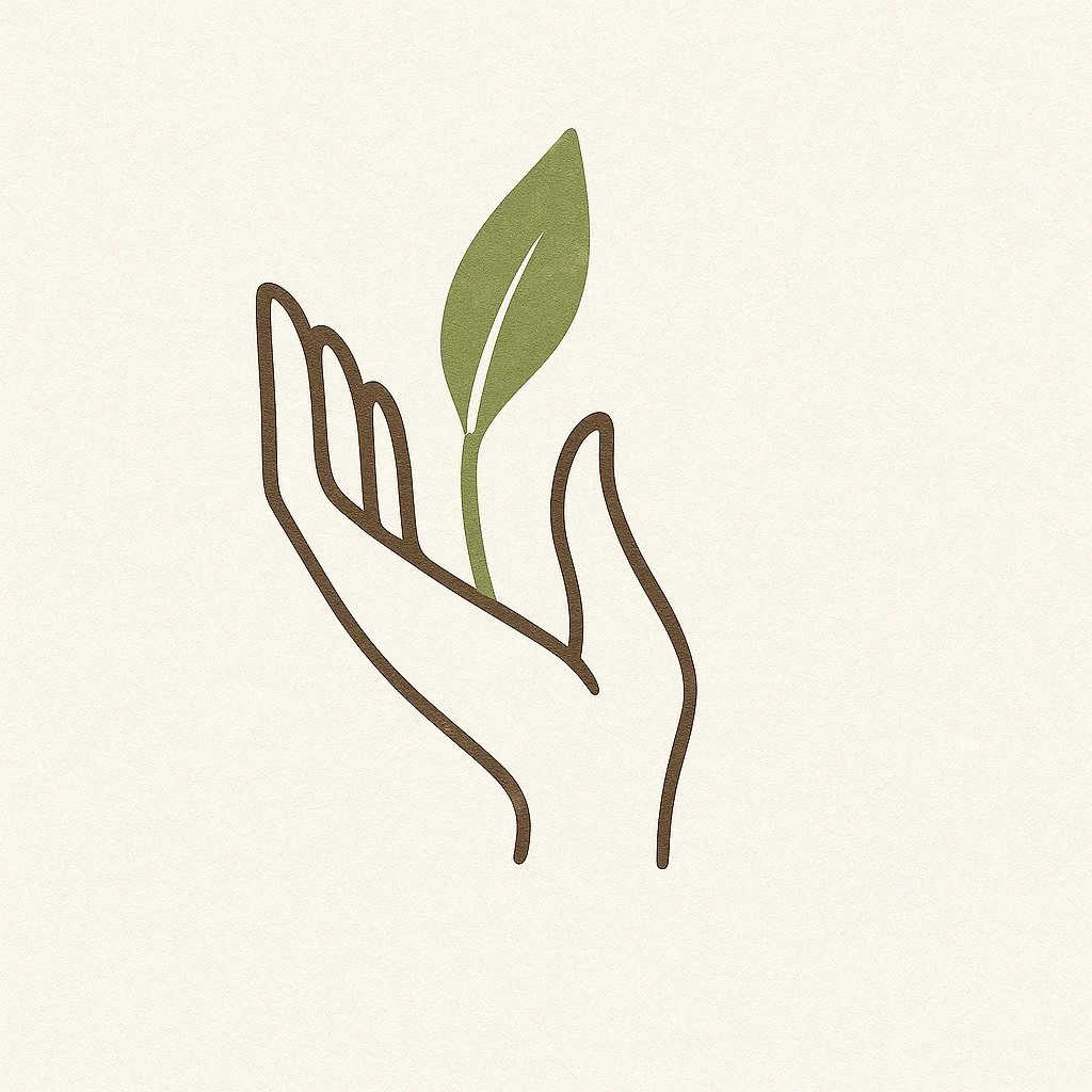 Massage Mentorship &amp; Continuing Education