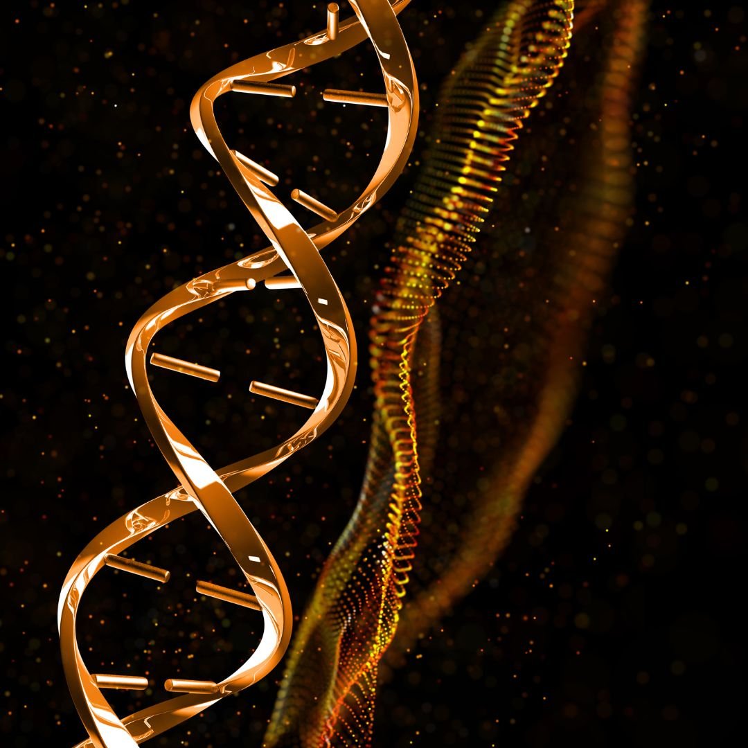 PLATINUM TIER — Sovereign Rhythm (18 bottles/week)