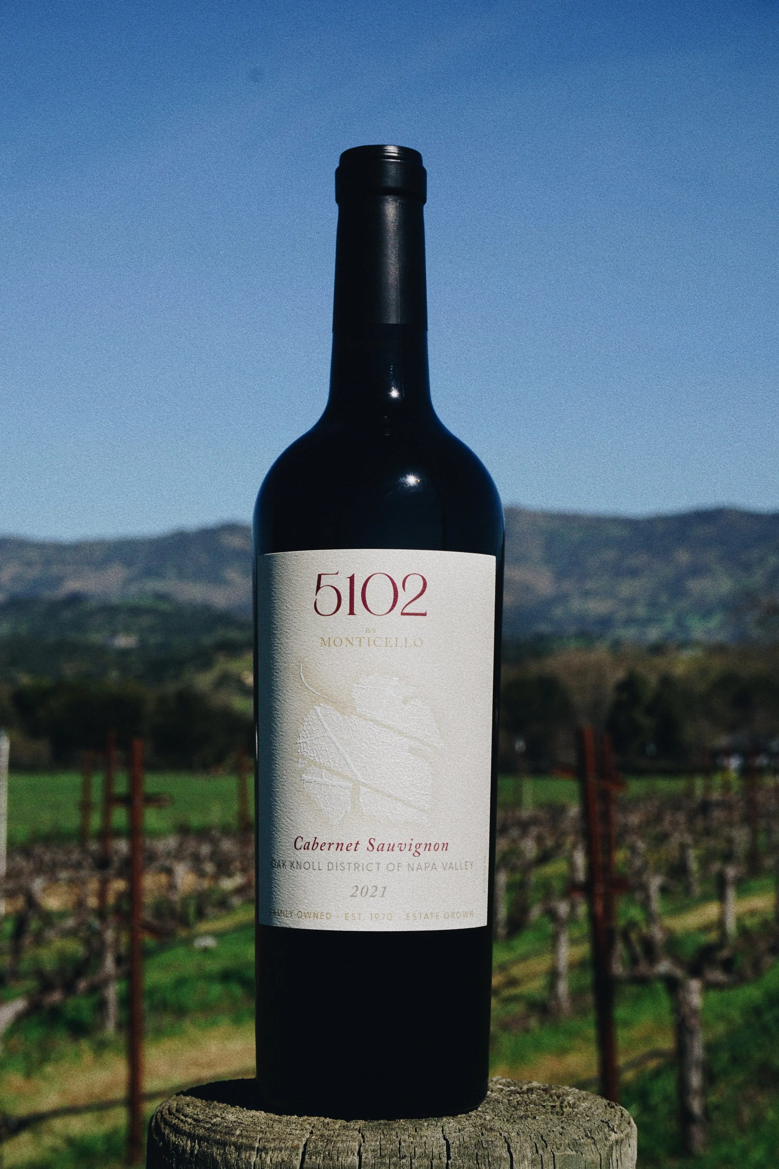 95DEFFBF-1BF3-4E4A-8BCE-54C47296C7BF 2.JPG