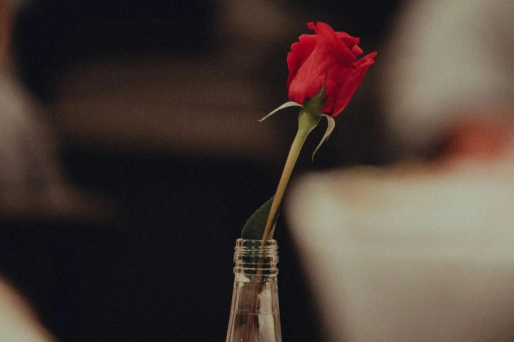 A single red rose in a glass bottle with blurred background