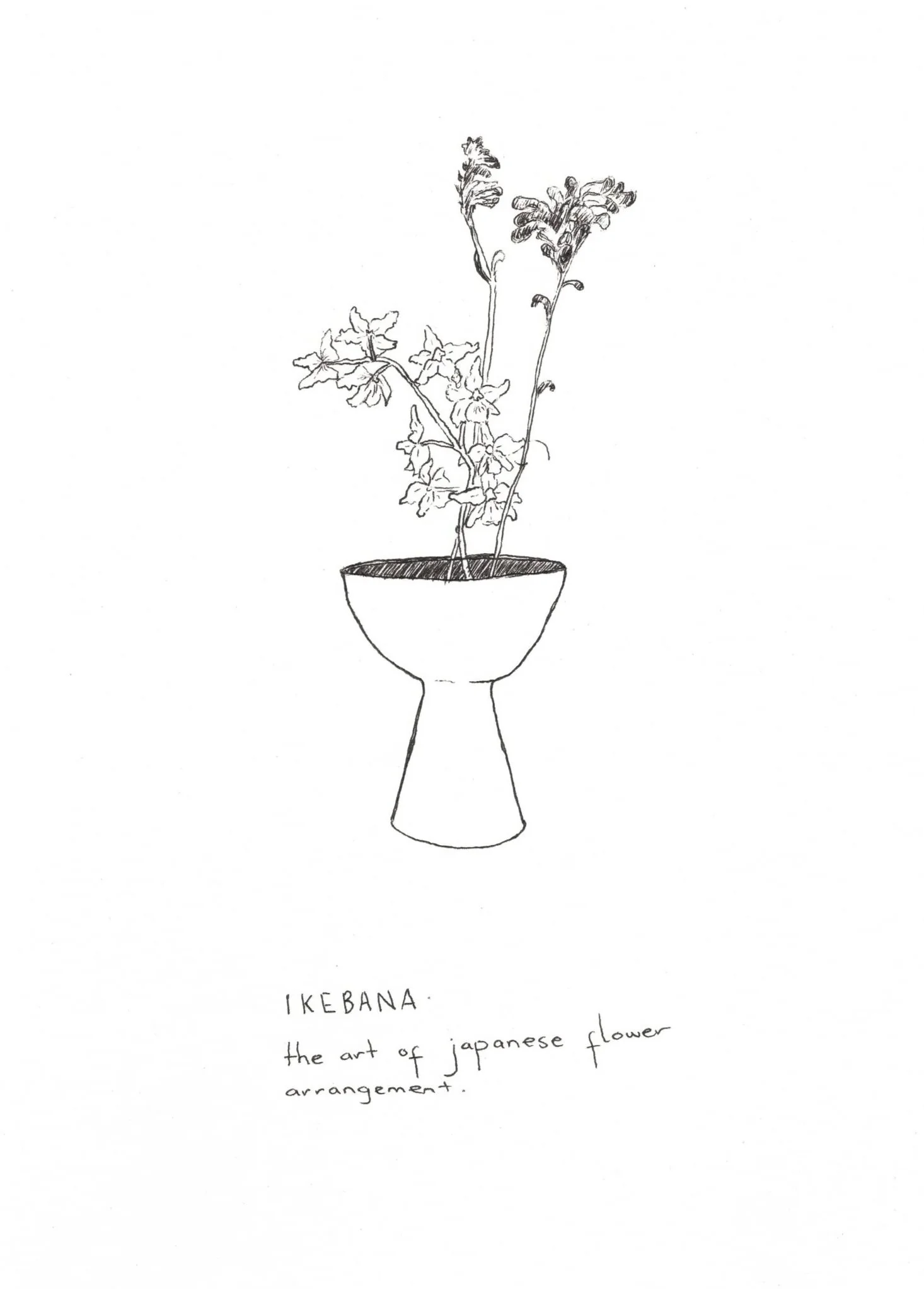 SCAN_Ikebana.jpg