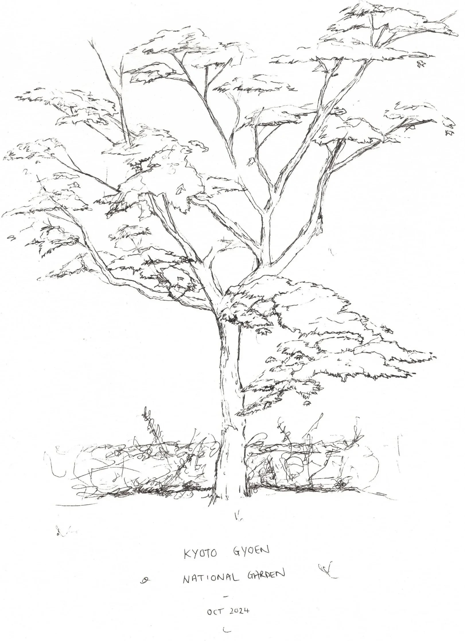 SCAN_Tokyo+Sketch.jpg
