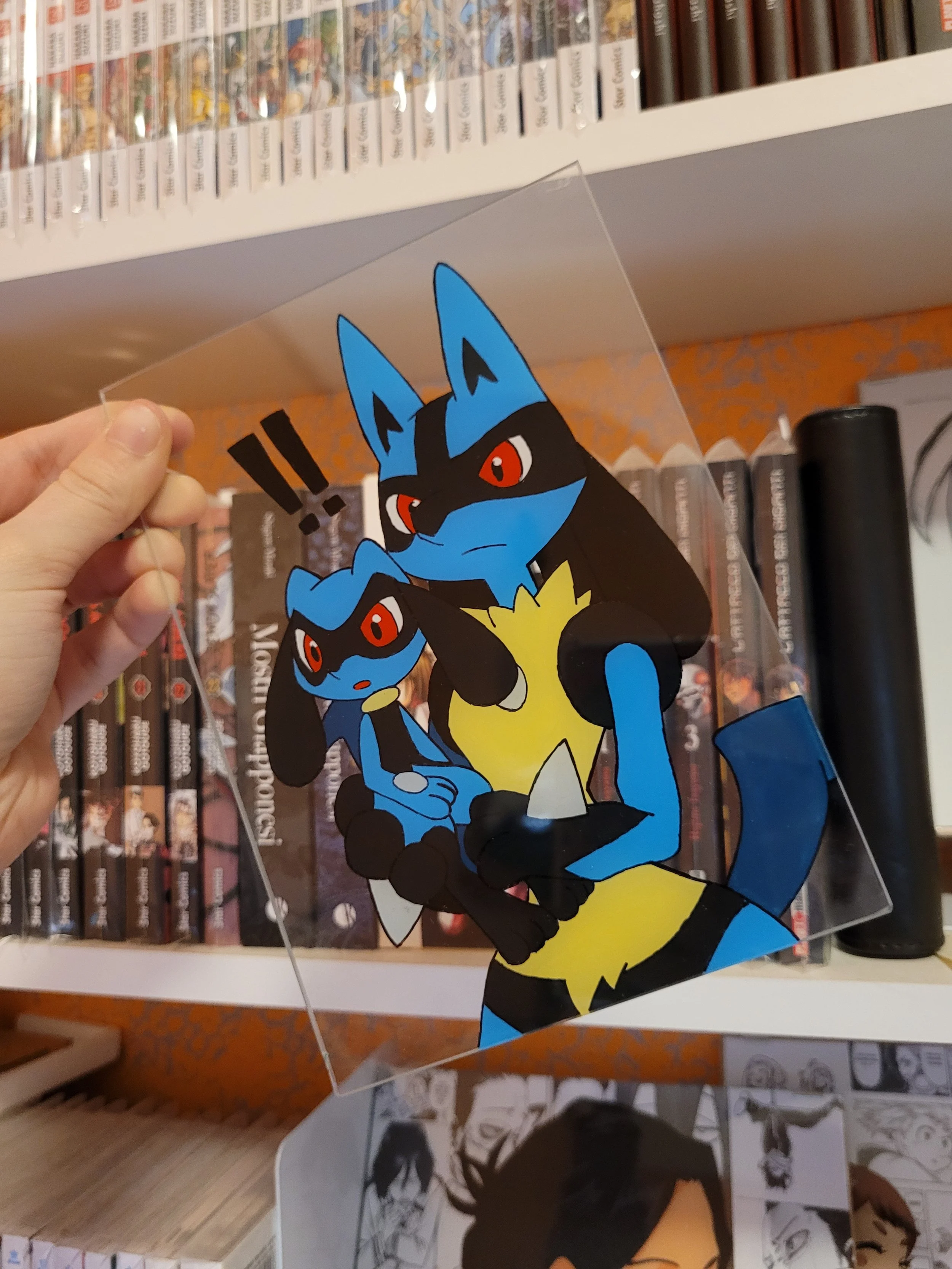 quadretto riolu e lucario