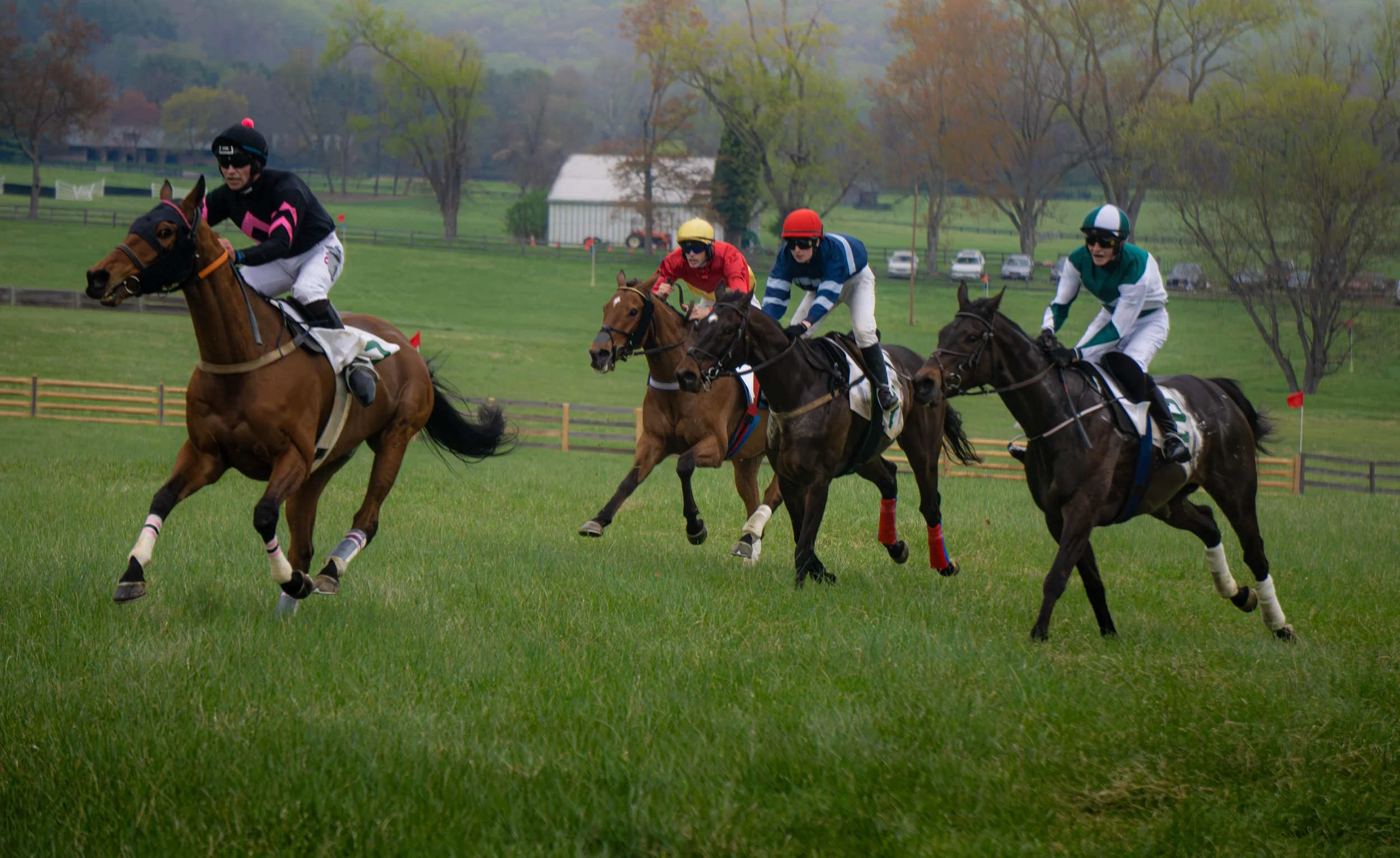 Horse race on a grassy field with four jockeys wearing colorful helmets and racing silks.