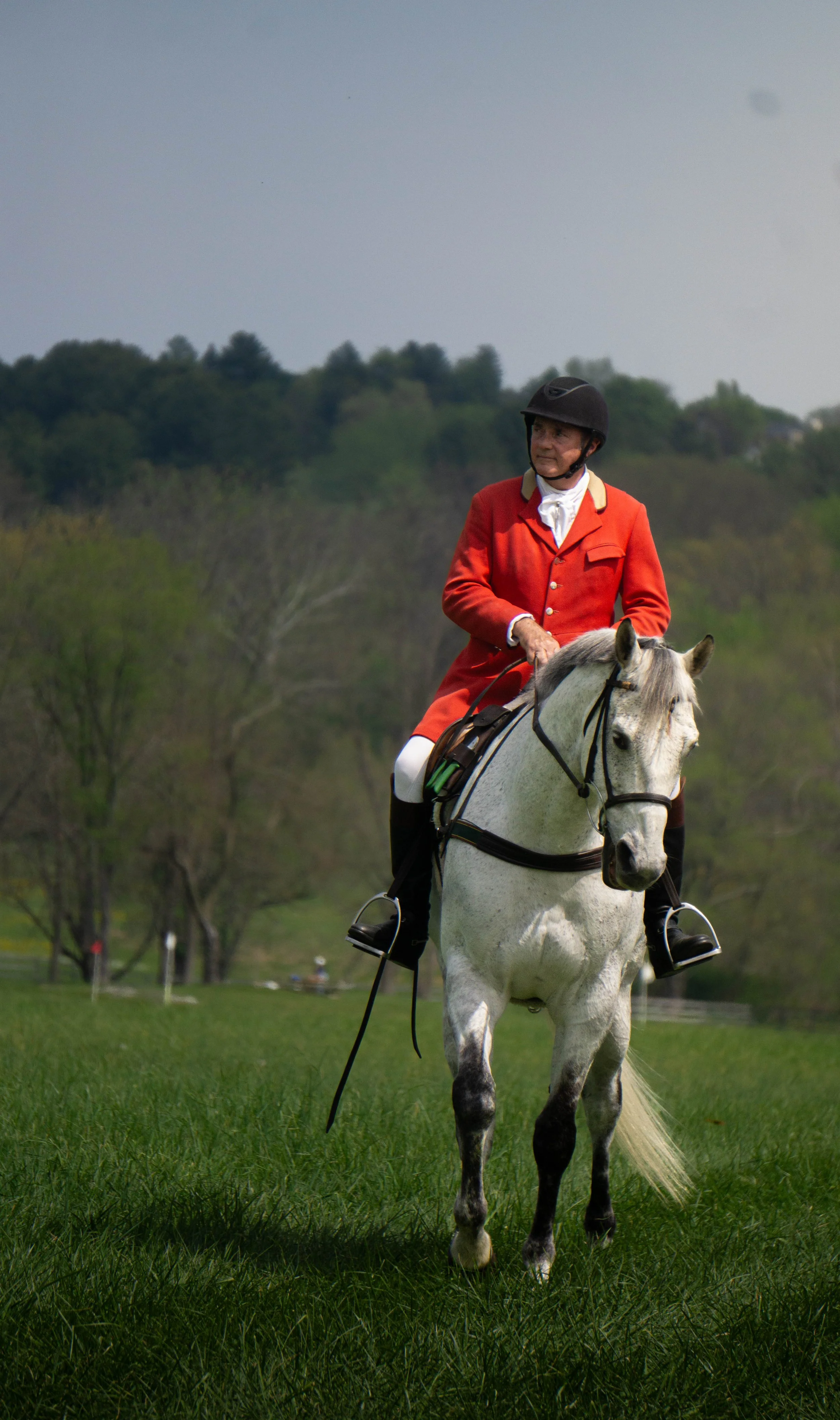 A man in a red coat and black helmet riding a white horse in a grassy field with trees in the background.
