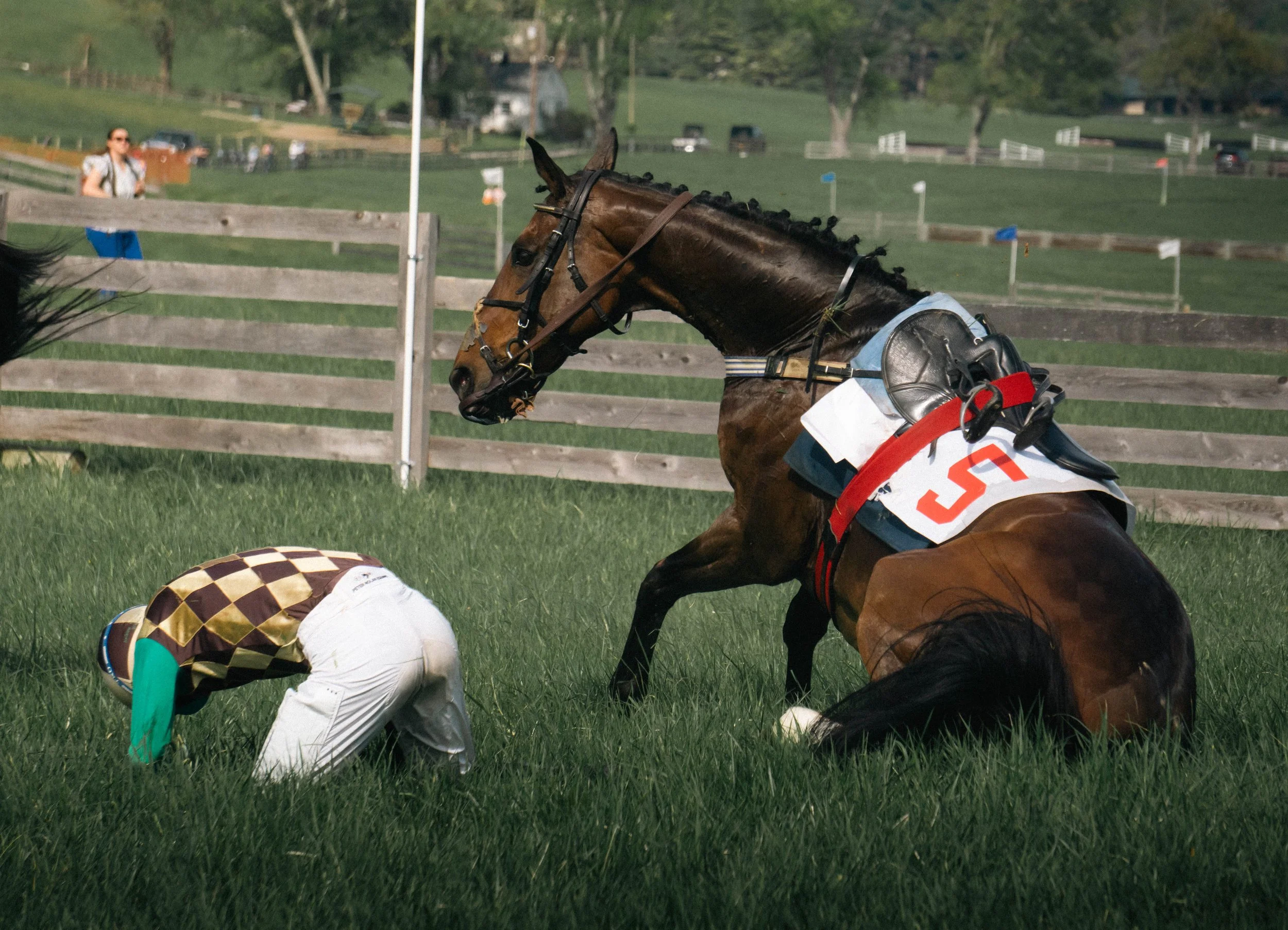 A horse with a braided mane and racing equipment, including a saddle and number cloth, on a grassy field during a race.