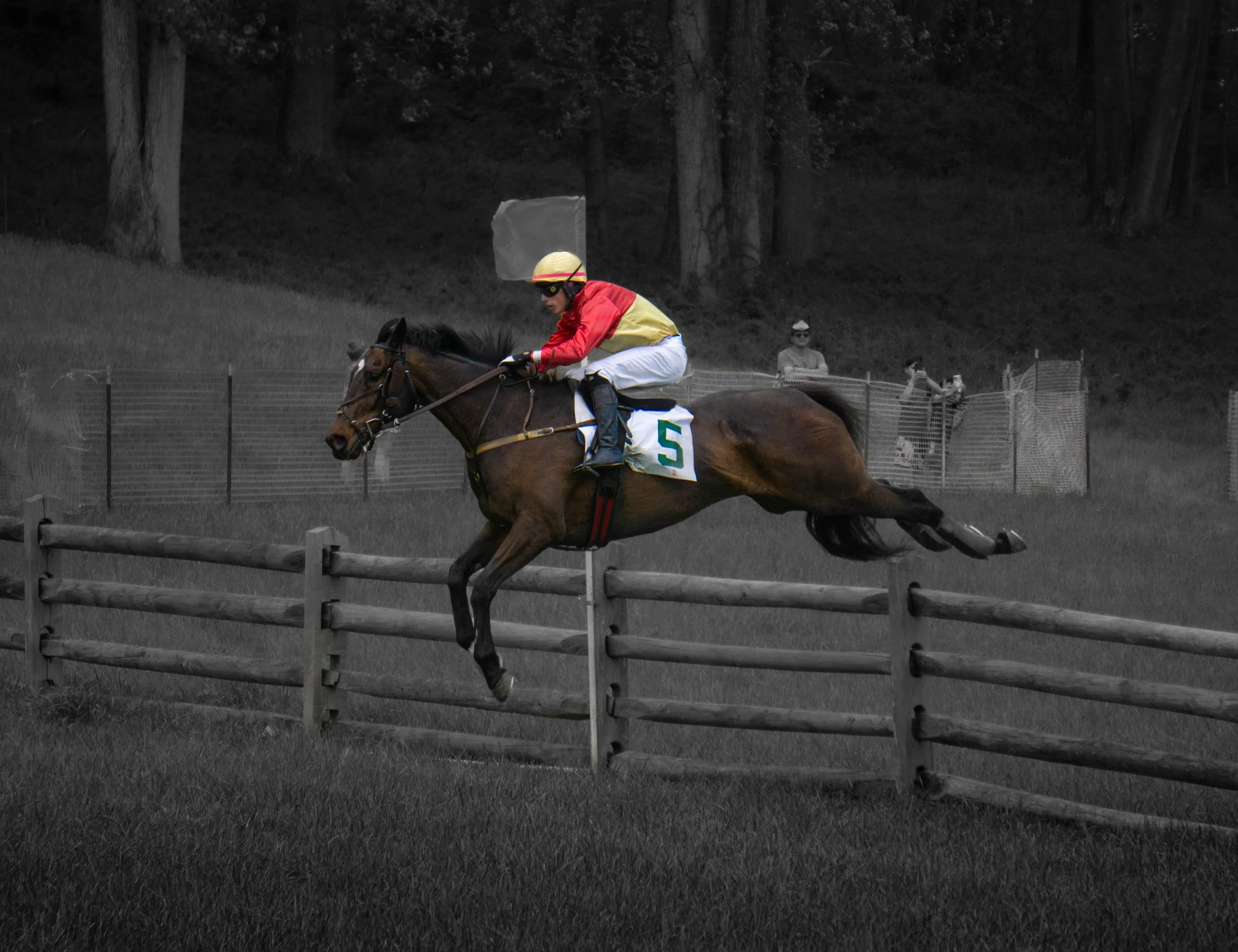 Jockey riding a horse during a horse race, with spectators watching in the background.