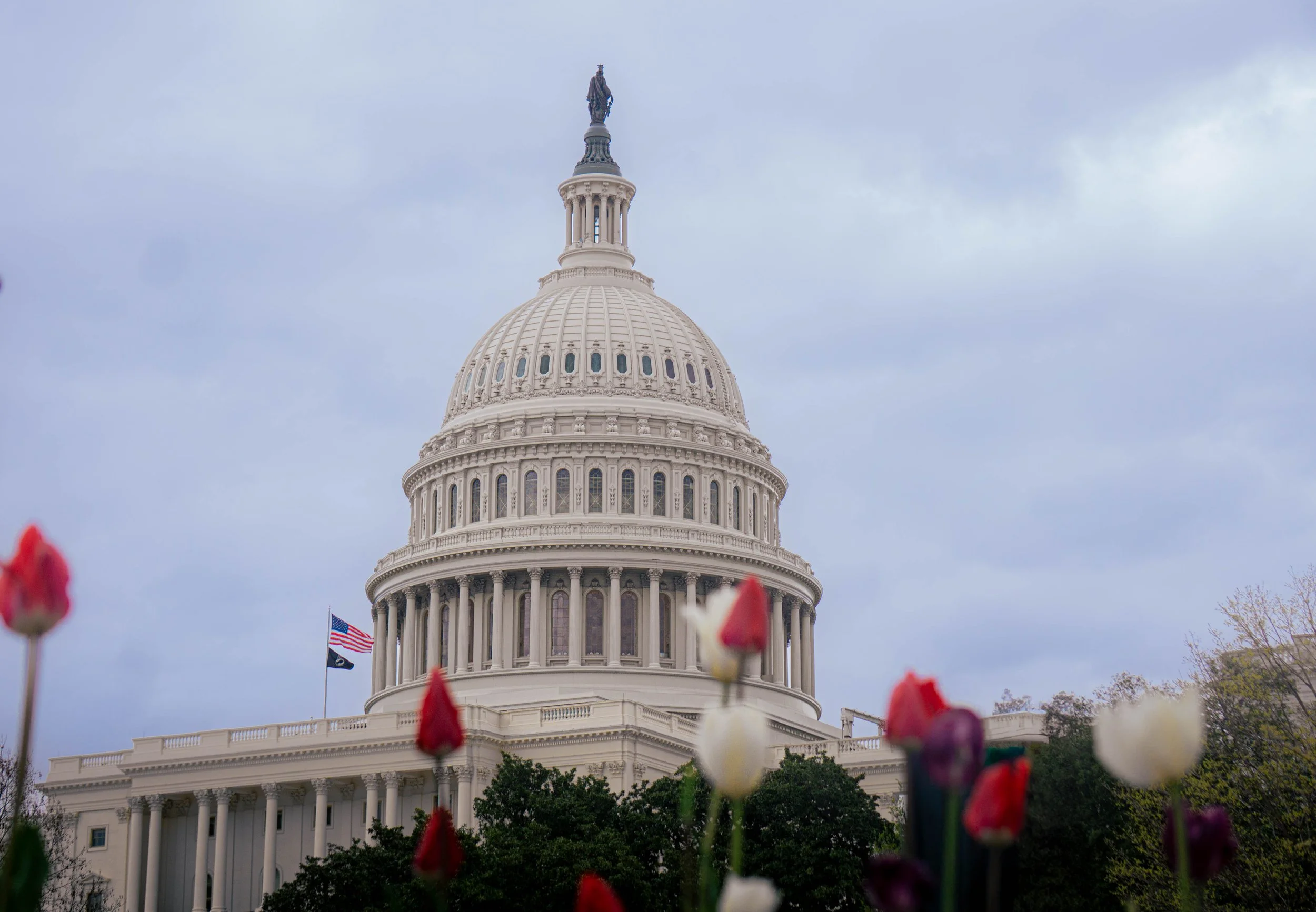 The United States Capitol building in Washington, D.C., with a cloudy sky in the background and flowers in the foreground.